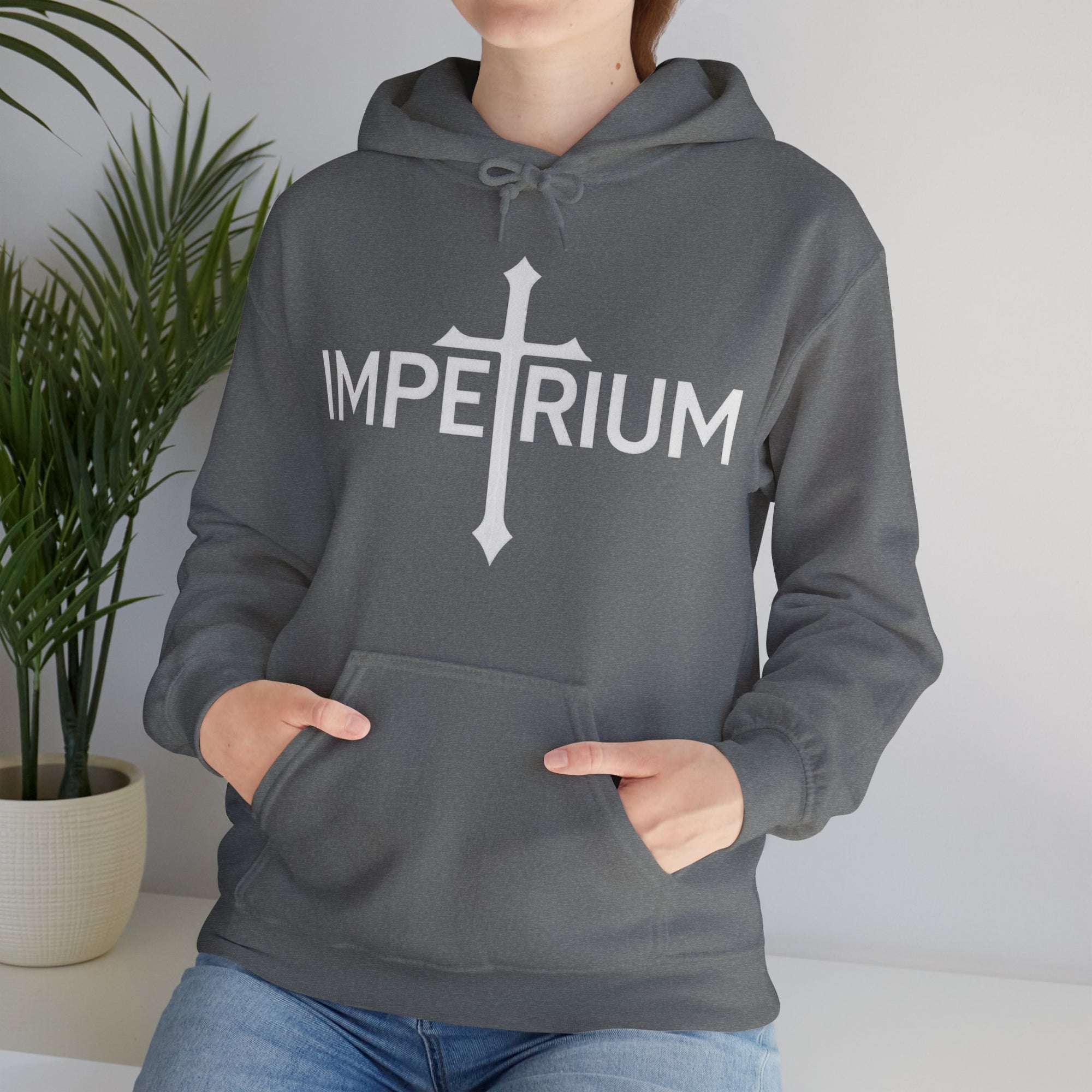Pravinci Imperium Monocromia - Graphite Heather Hooded Sweatshirt