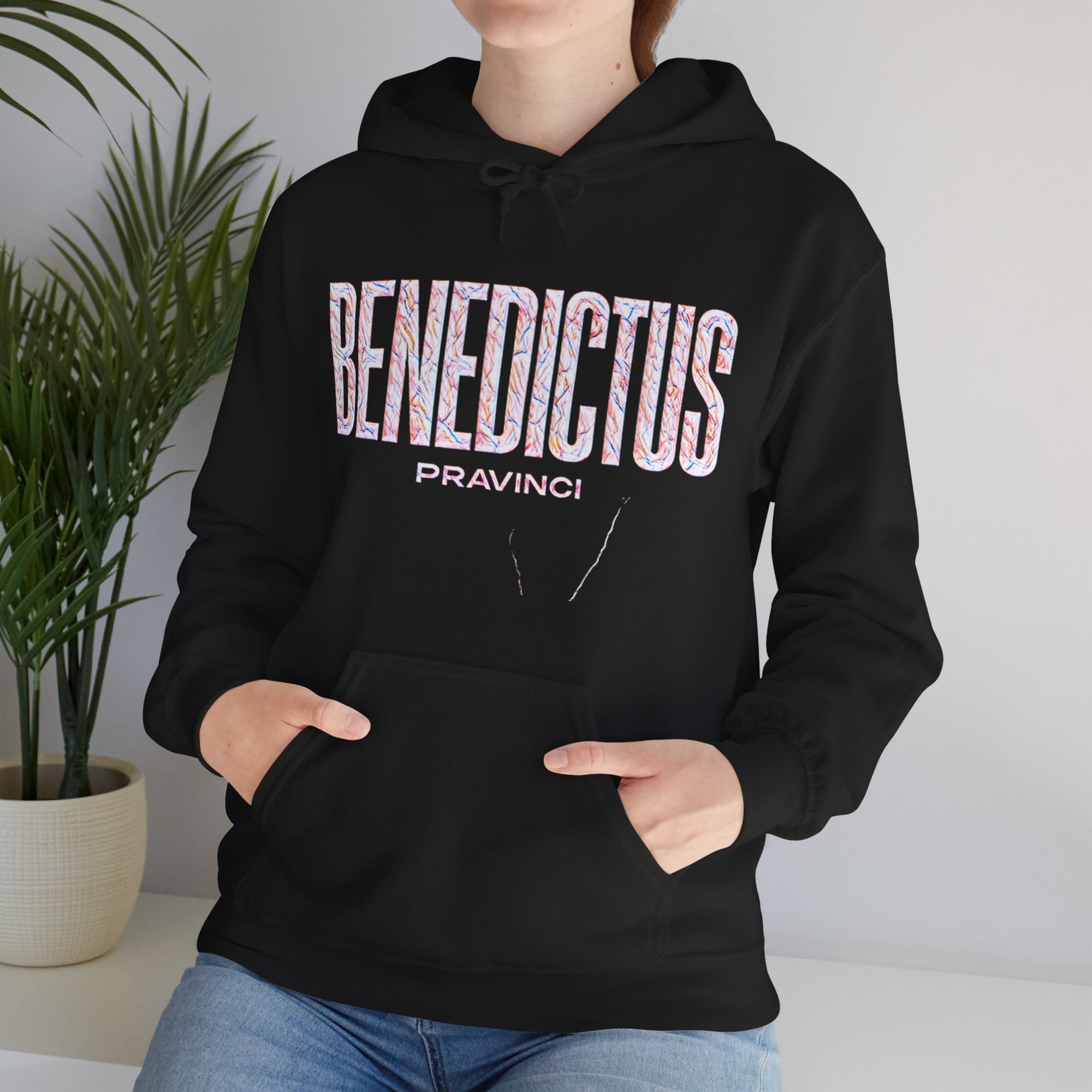 Pravinci Benedictus Labor Iridescente – Black Hooded Sweatshirt