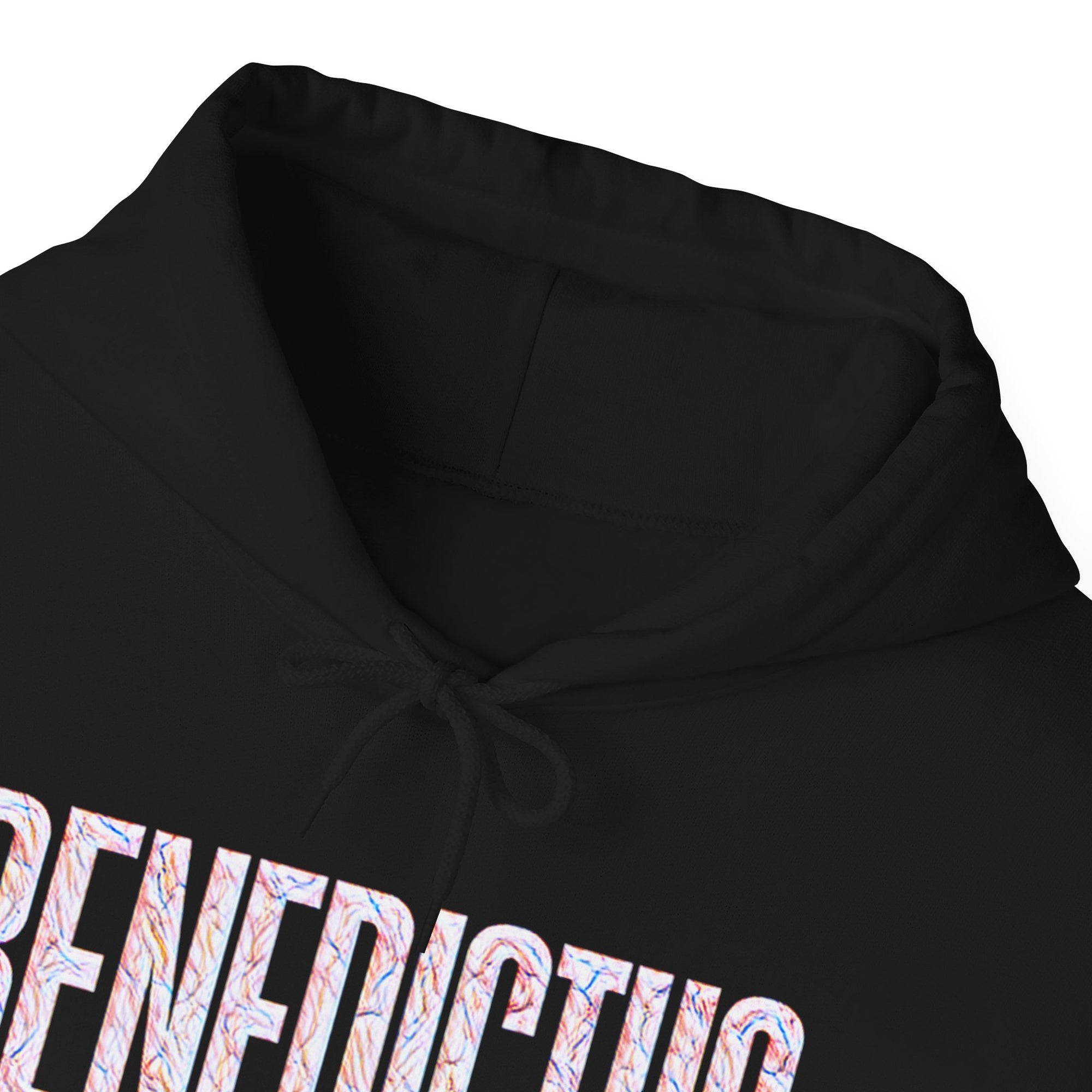 Pravinci Benedictus Labor Iridescente – Black Hooded Sweatshirt
