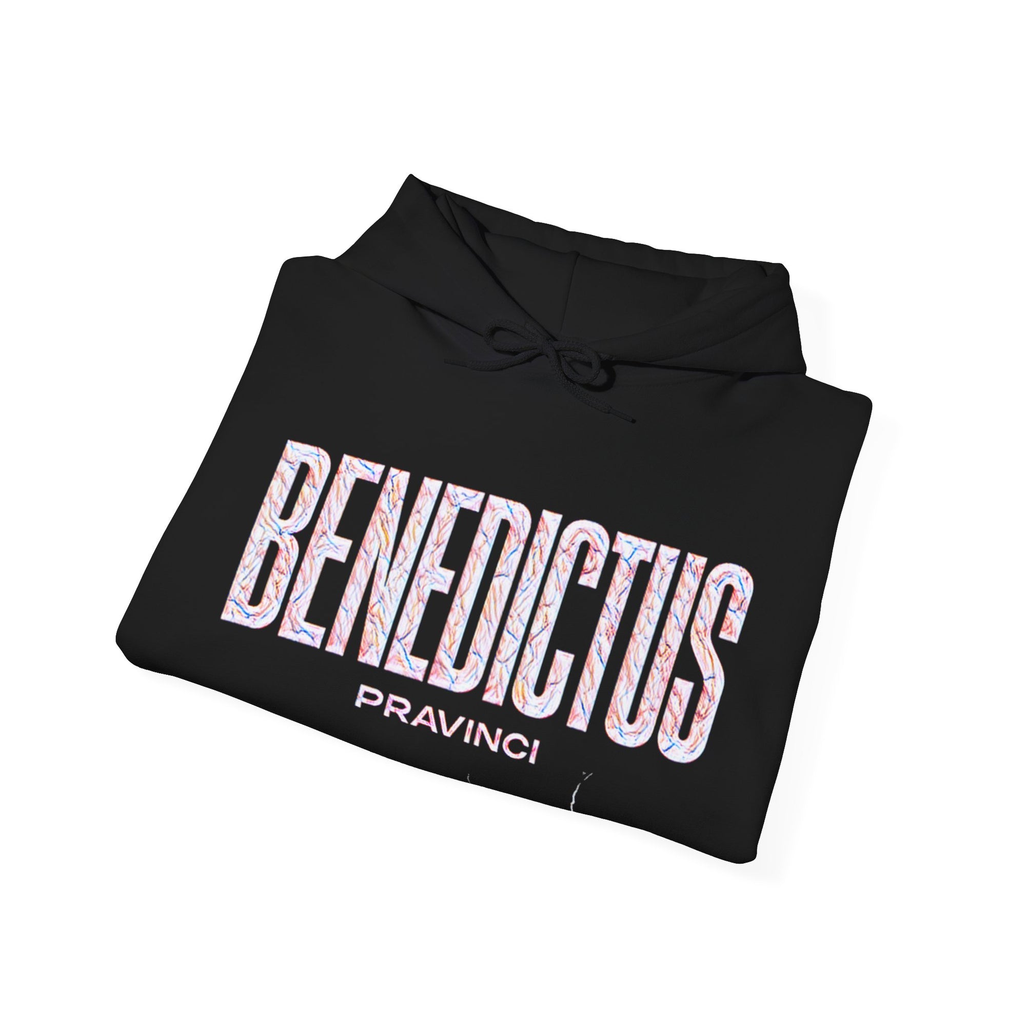 Pravinci Benedictus Labor Iridescente – Black Hooded Sweatshirt