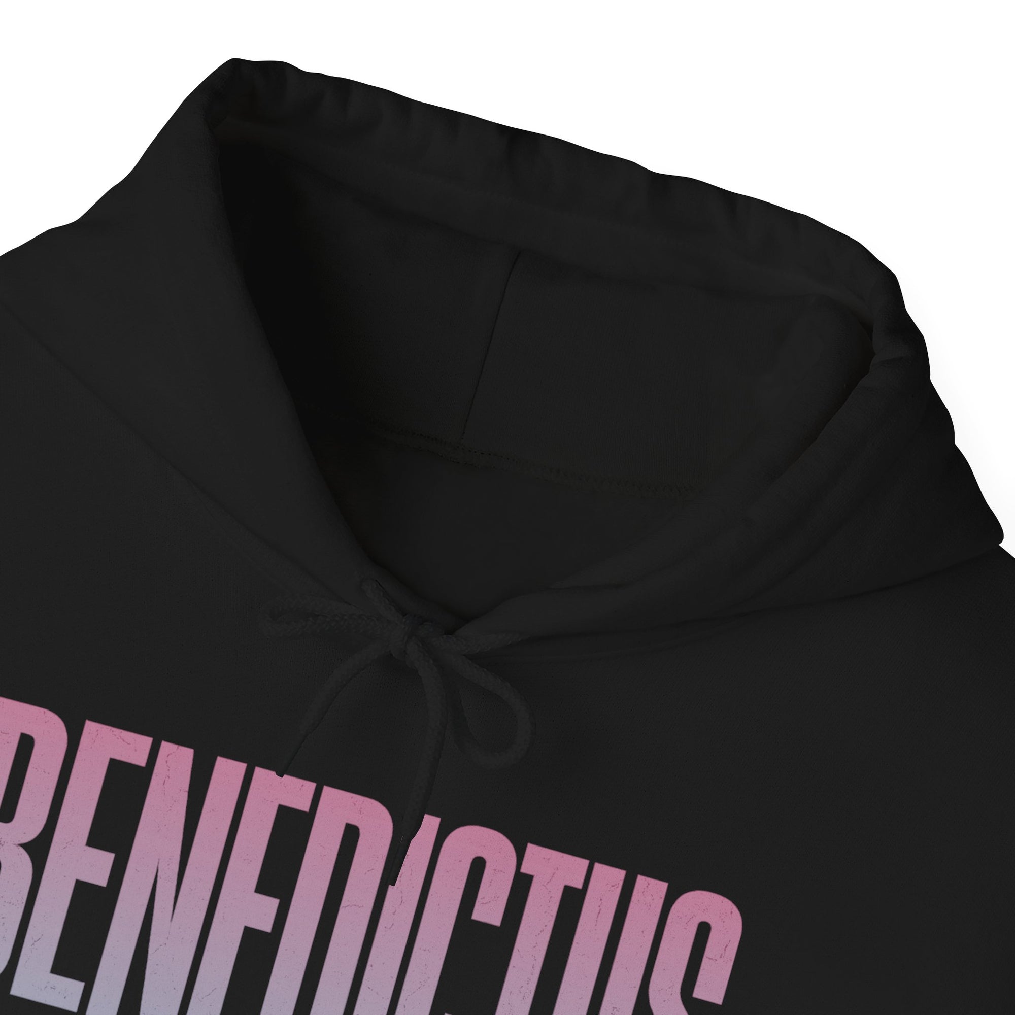 Pravinci Benedictus Labor Iridescente – Black Hooded Sweatshirt