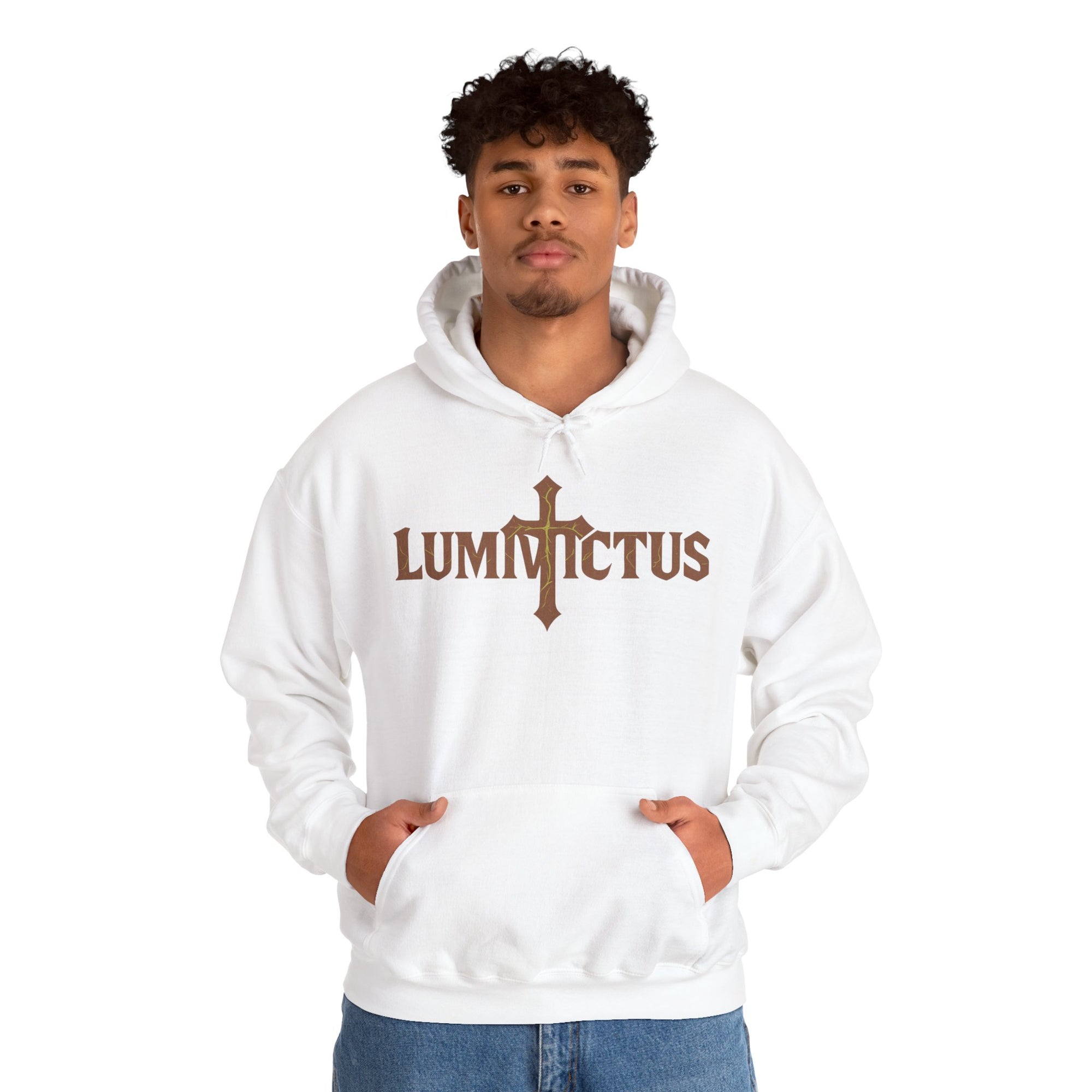 Pravinci Lumivictus Iridescente Brown - Hooded Sweatshirt