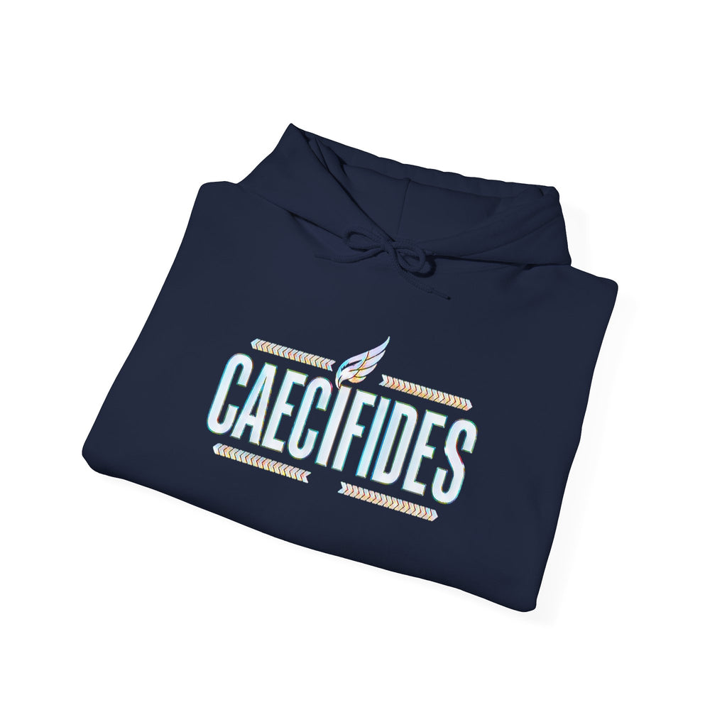 Pravinci Caecifides Iridescente – Navy Blue Hooded Sweatshirt