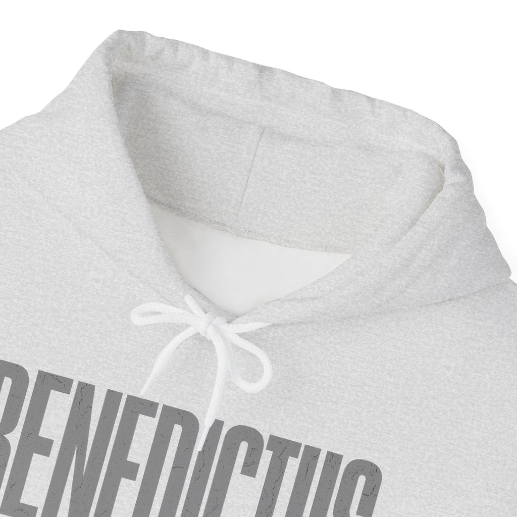 Pravinci Benedictus Labor Monocromia – Ash Hooded Sweatshirt