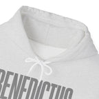 Pravinci Benedictus Labor Monocromia – Ash Hooded Sweatshirt