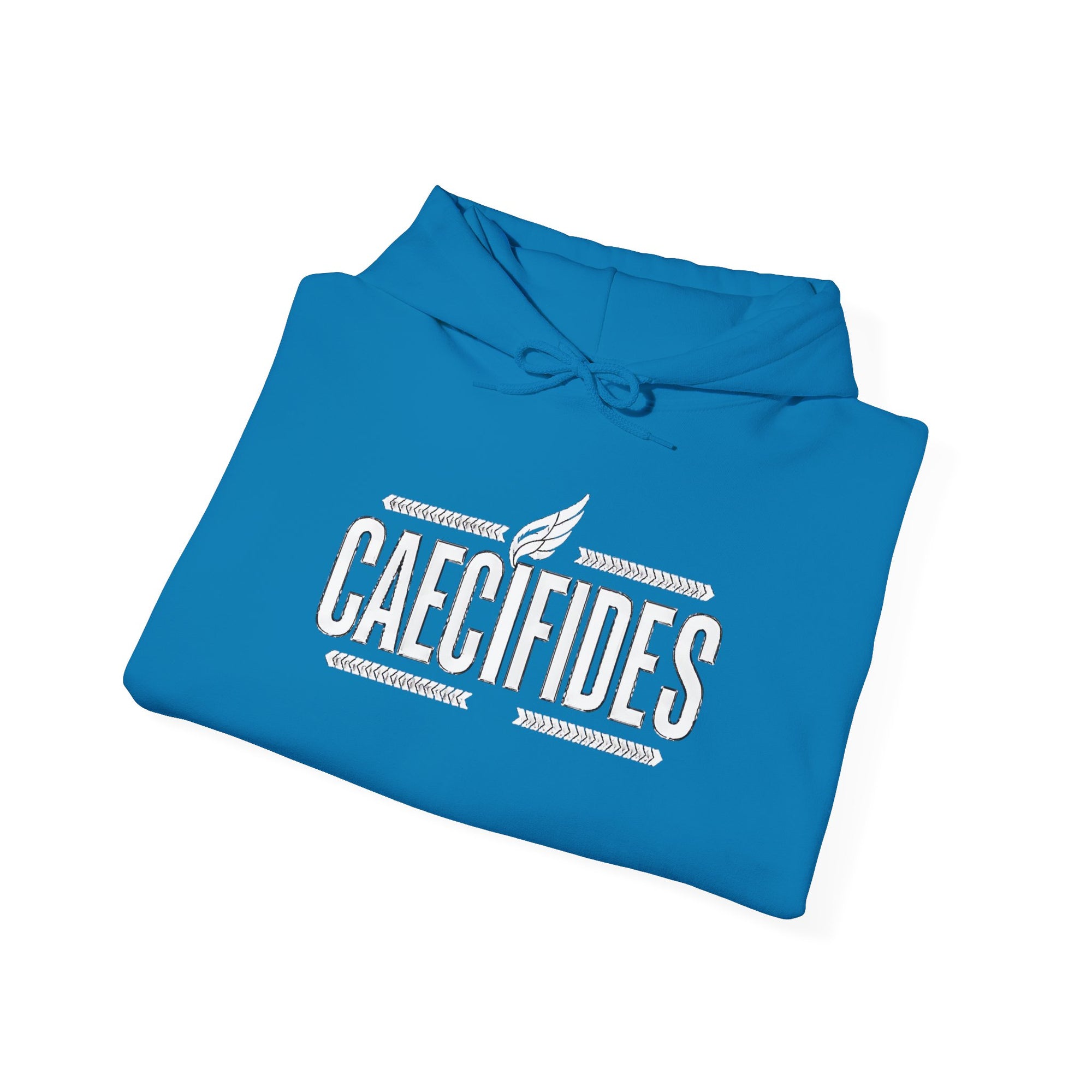 Pravinci Caecifides Monocromia – Sapphire Blue Hooded Sweatshirt