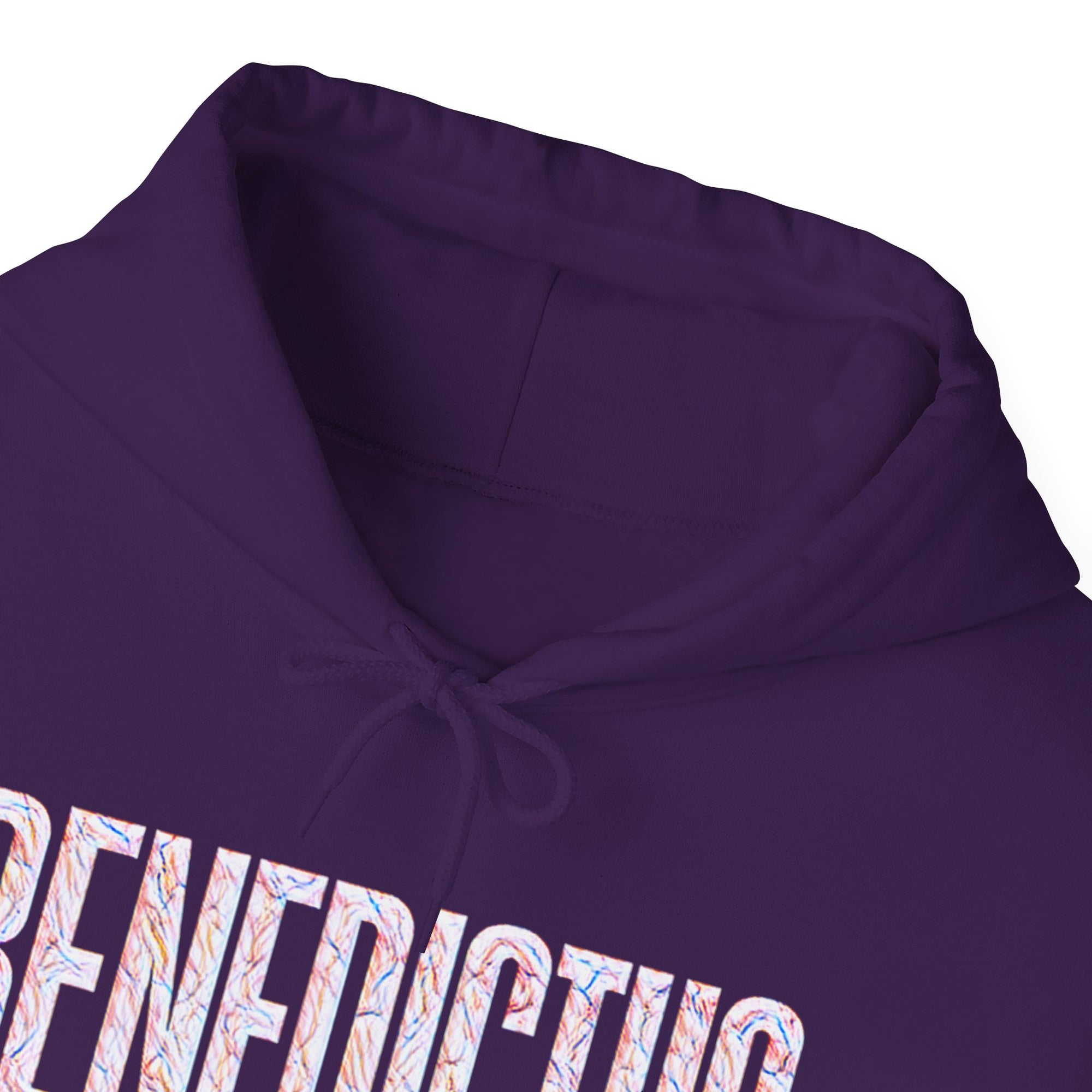 Pravinci Benedictus Labor Iridescente – Purple Hooded Sweatshirt