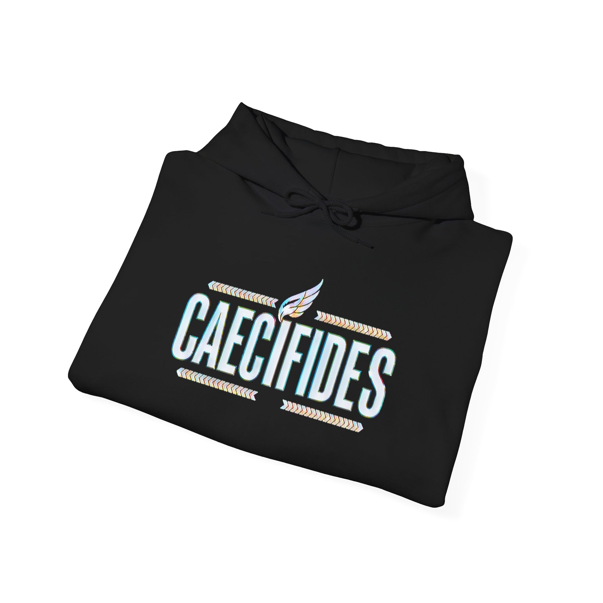 Pravinci Caecifides Iridescente – Black Hooded Sweatshirt