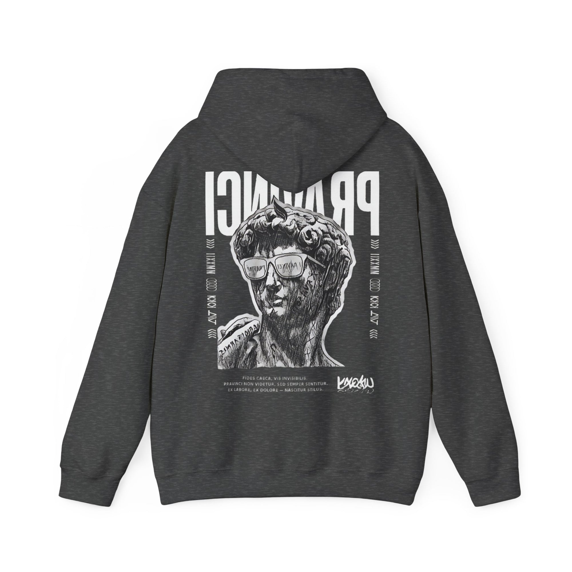 Pravinci Caecifides Monocromia – Dark Grey Hooded Sweatshirt