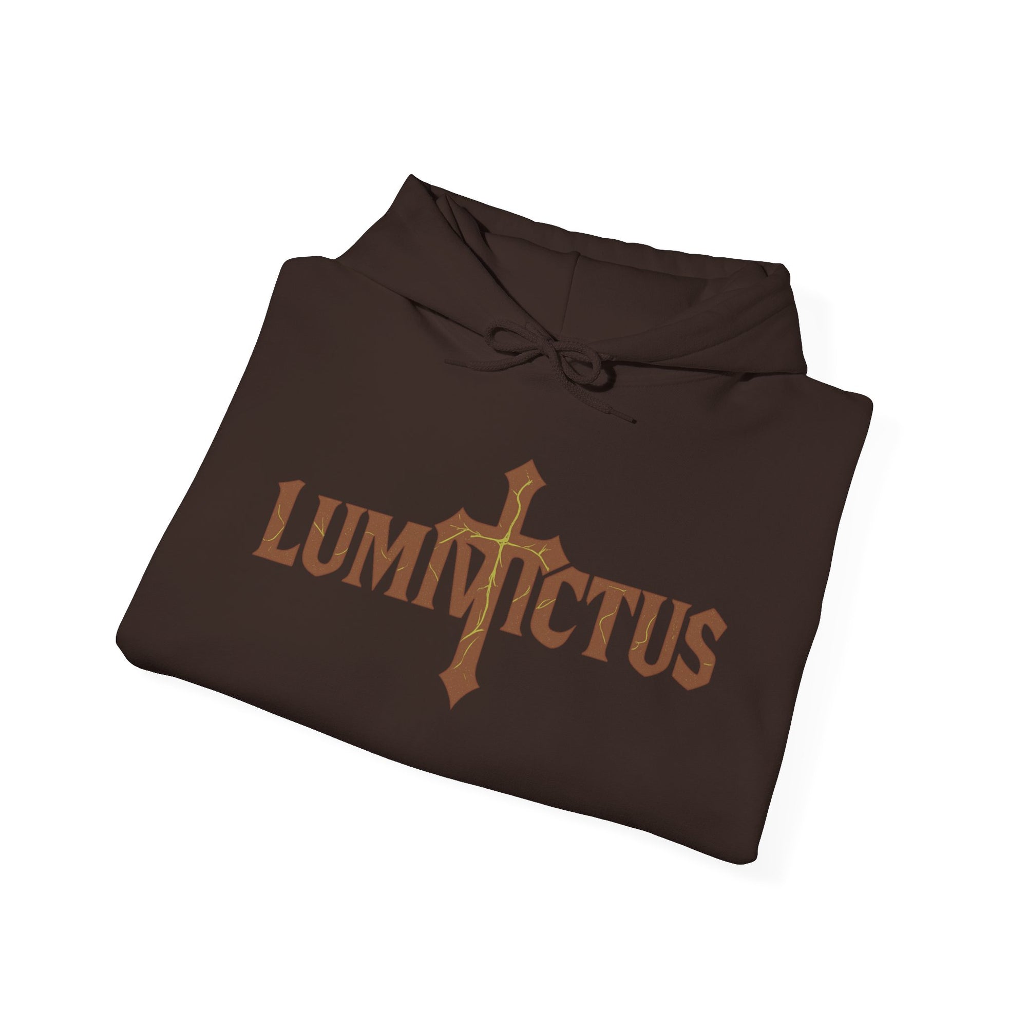 Pravinci Lumivictus Iridescente Brown - Hooded Sweatshirt