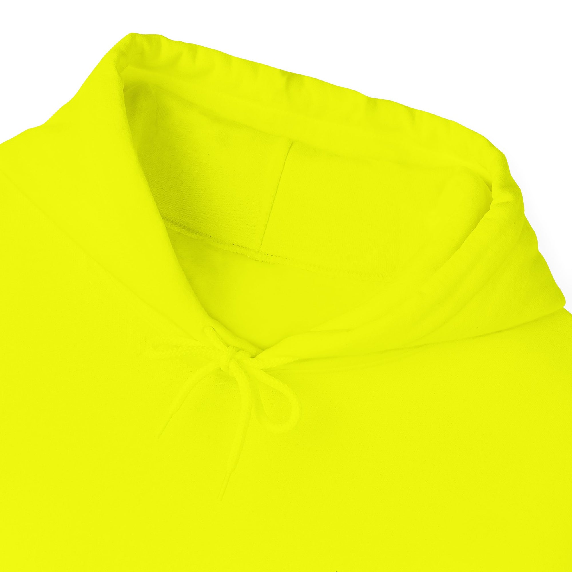 Pravinci Lumivictus Iridescente Olive Green - Hooded Sweatshirt