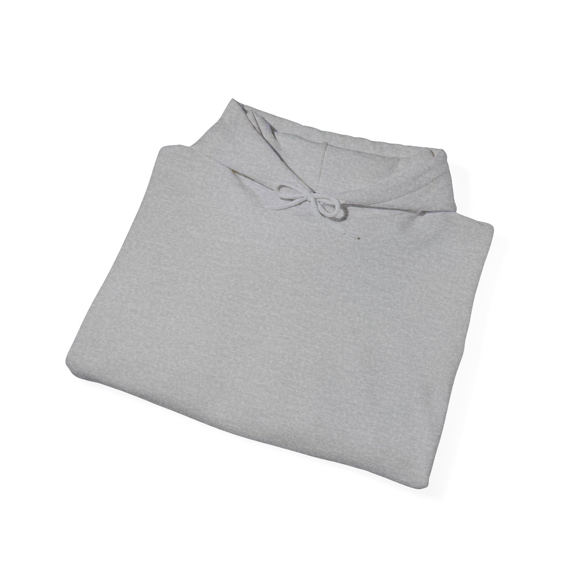 Pravinci Core Hoodie - Grey