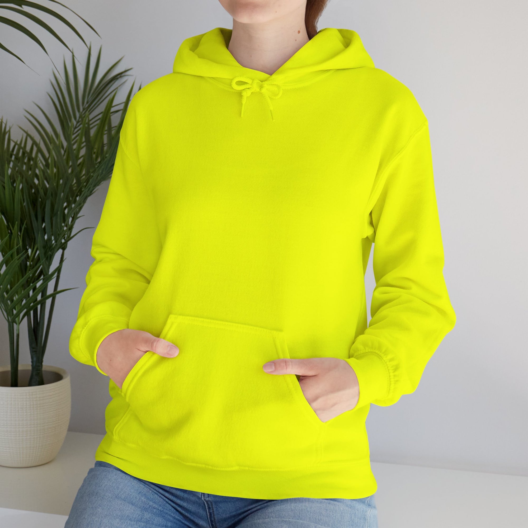 Pravinci Lumivictus Iridescente Olive Green - Hooded Sweatshirt