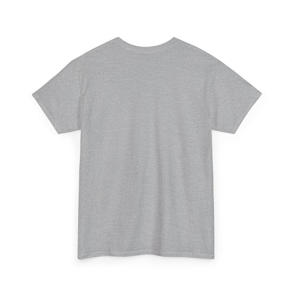Pravinci Core T Shirt - Grey