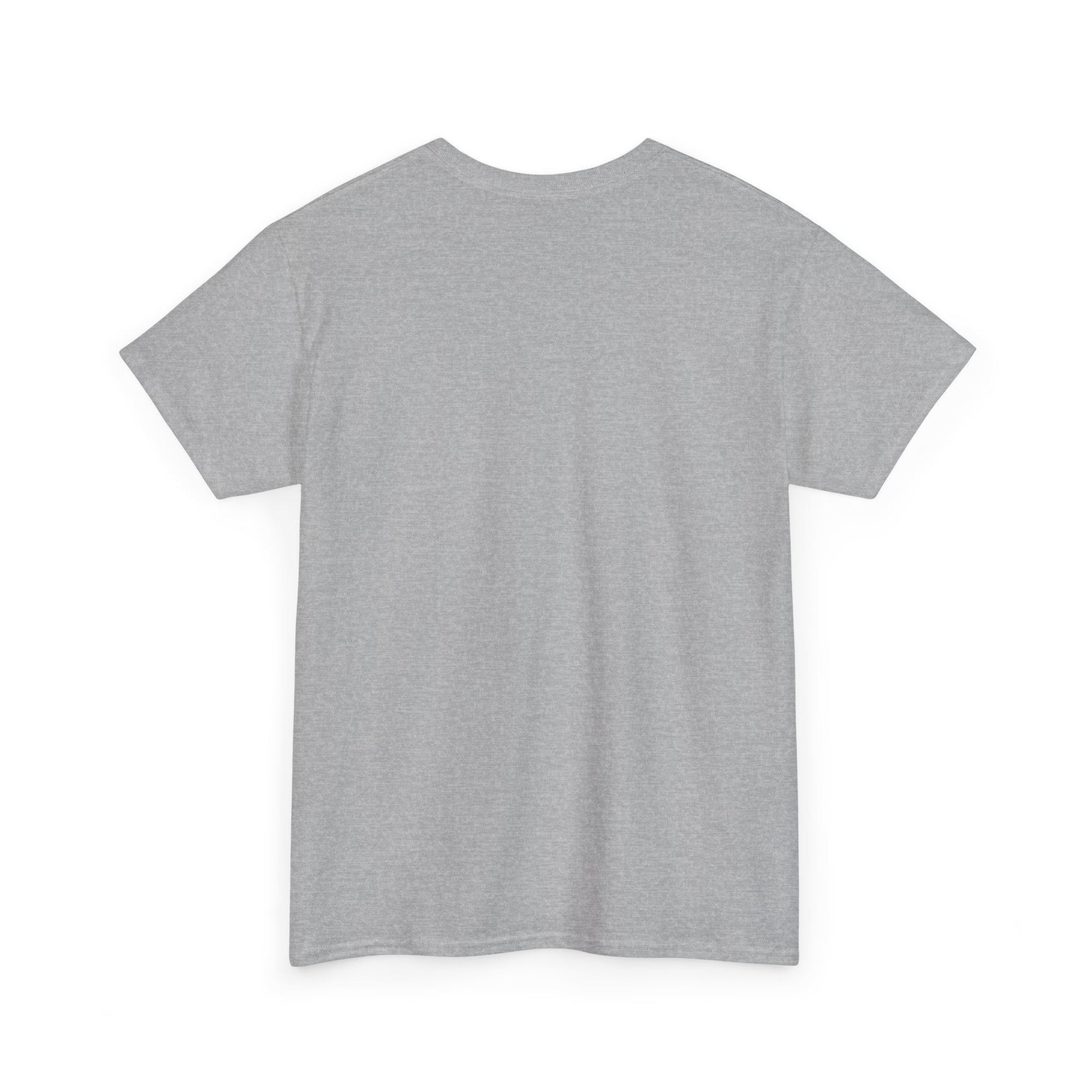 Pravinci Core T Shirt - Grey