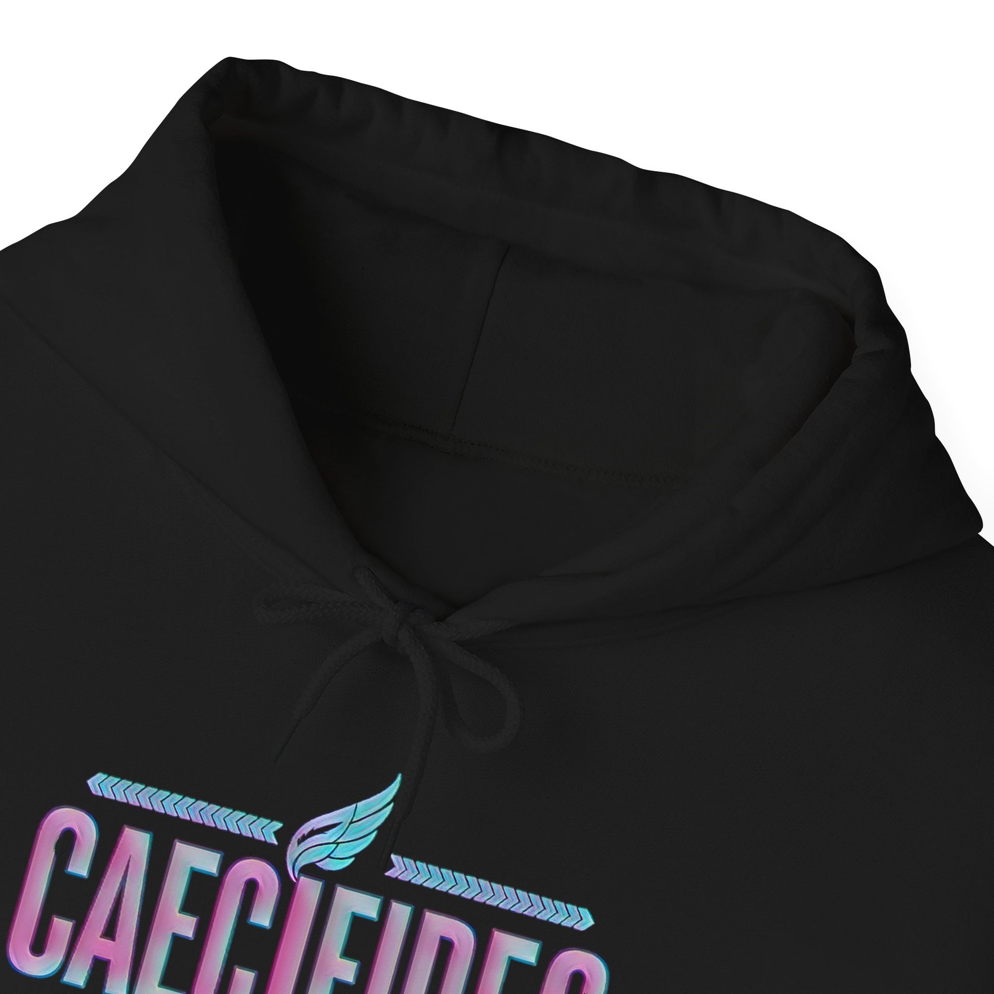 Pravinci Caecifides Iridescente – Black Hooded Sweatshirt