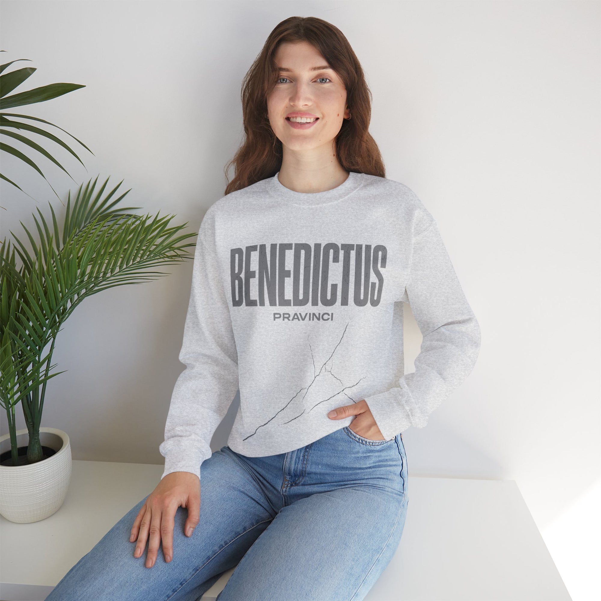 Pravinci Benedictus Labor Monocromia – Ash Sweatshirt