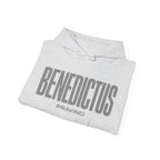 Pravinci Benedictus Labor Monocromia – Ash Hooded Sweatshirt