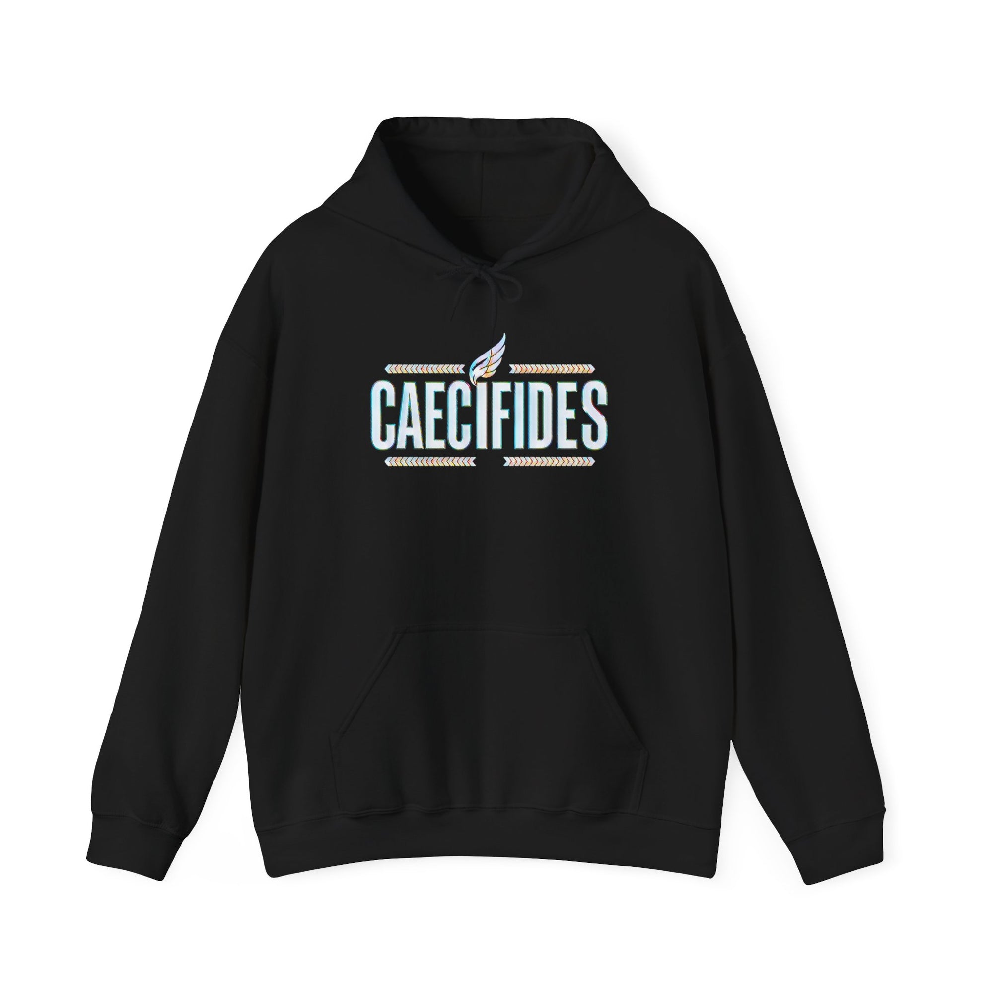Pravinci Caecifides Iridescente – Black Hooded Sweatshirt