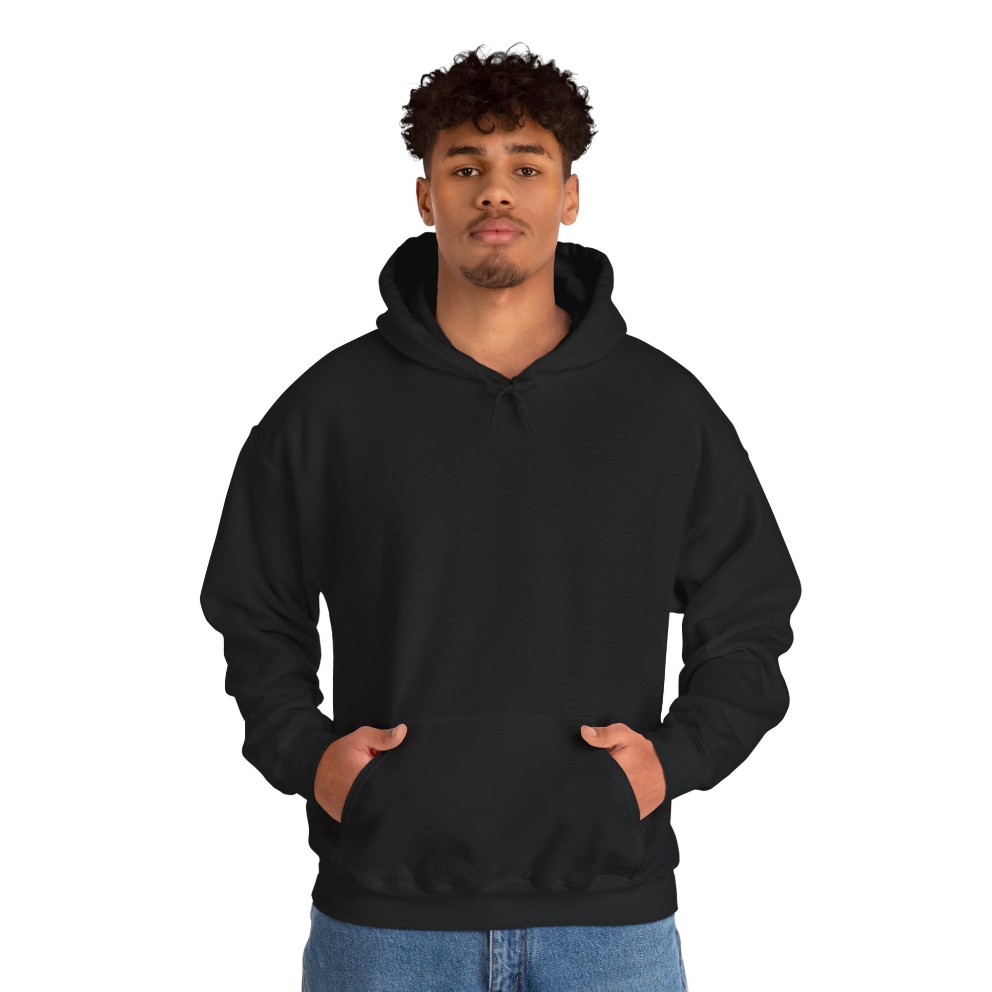 Pravinci Lumivictus Iridescente Blue Green - Hooded Sweatshirt