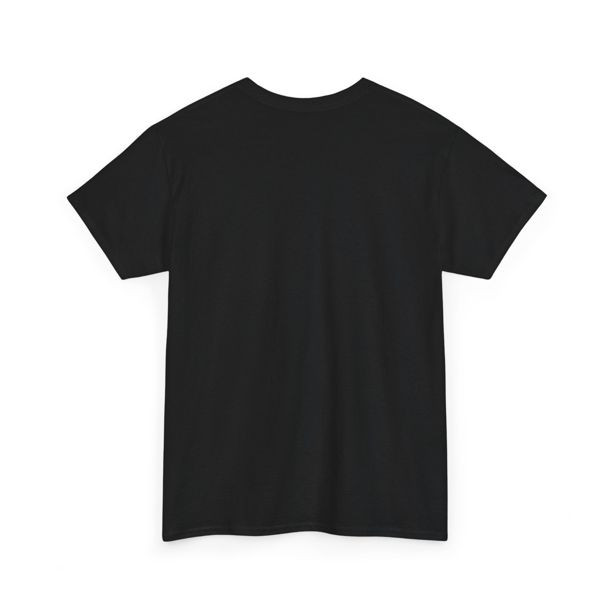 Pravinci Core T Shirt - Black