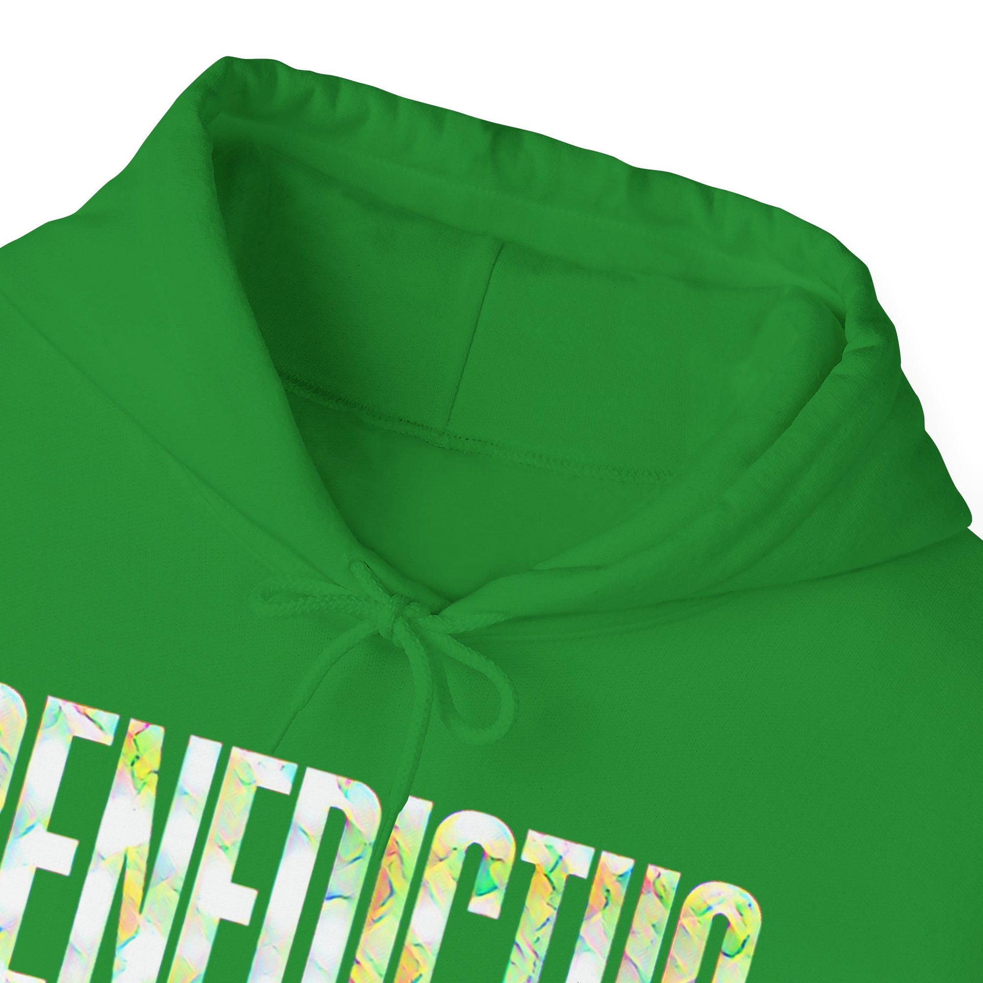 Pravinci Benedictus Labor Iridescente – Green Hooded Sweatshirt
