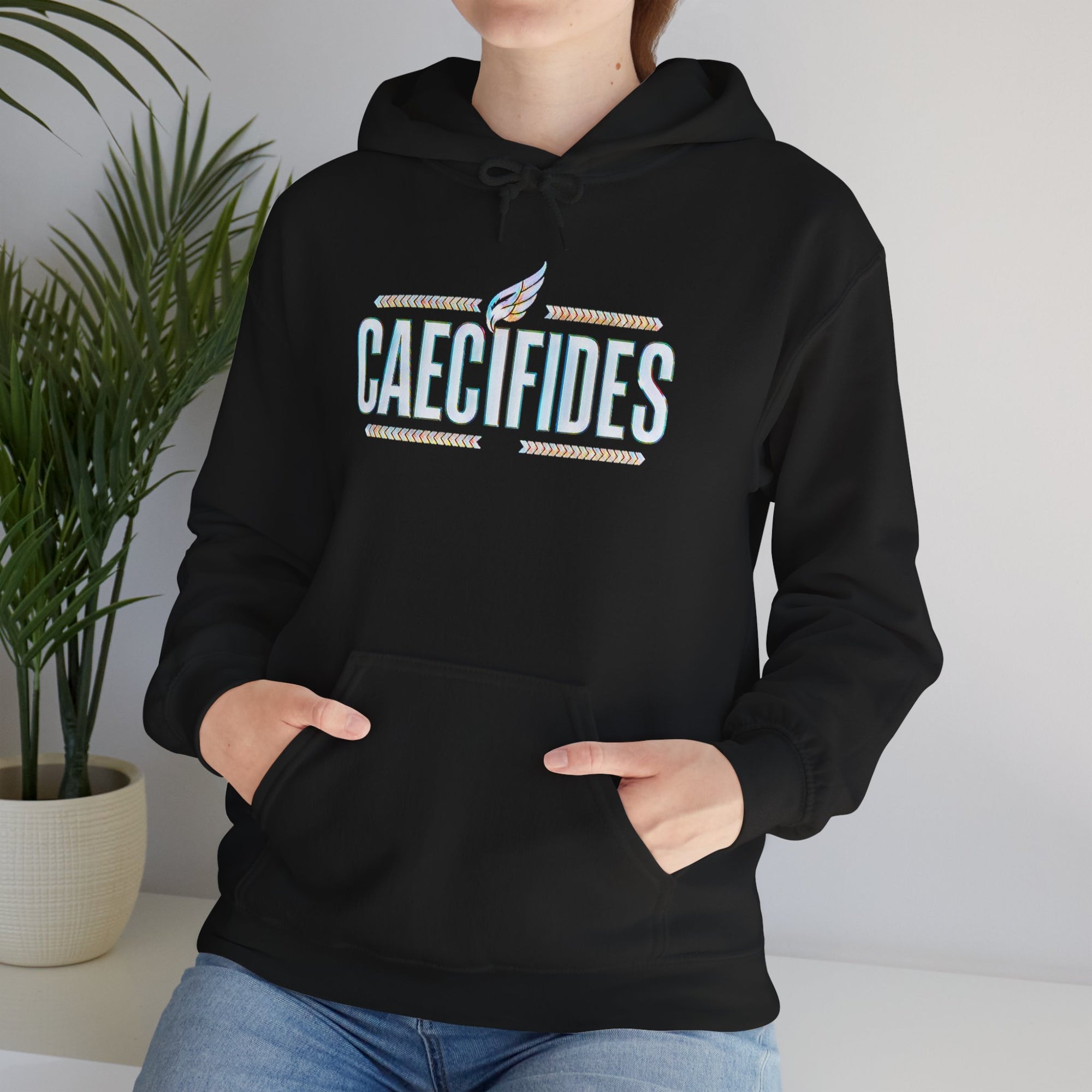 Pravinci Caecifides Iridescente – Black Hooded Sweatshirt