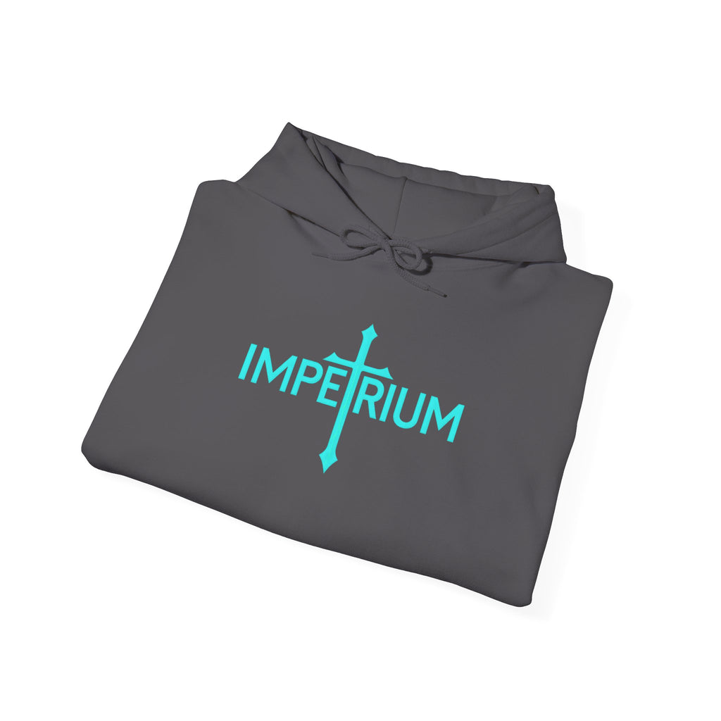 Pravinci Imperium - Charcoal Hooded Sweatshirt