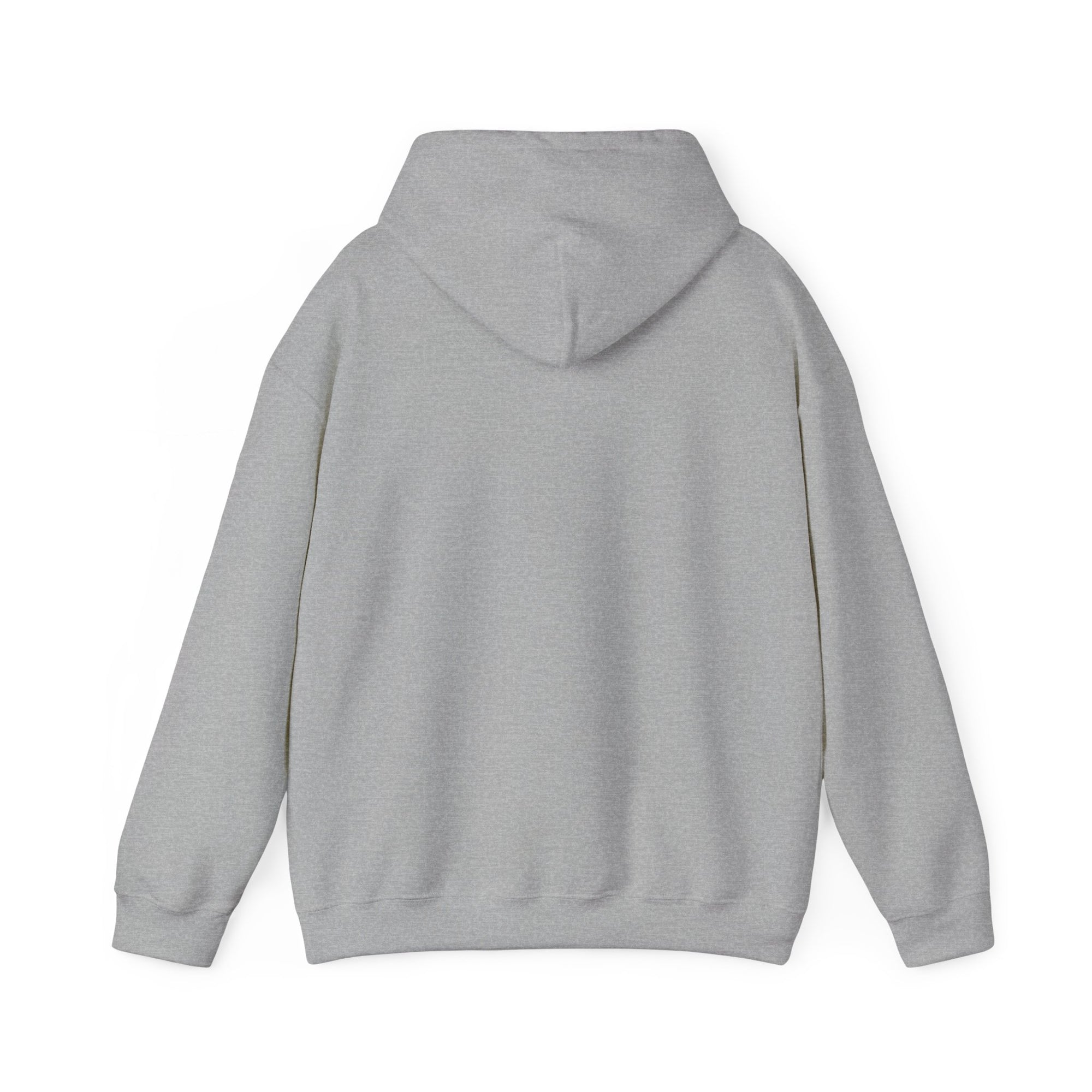 Pravinci Core Hoodie - Grey