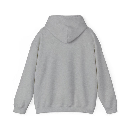 Pravinci Core Hoodie - Grey