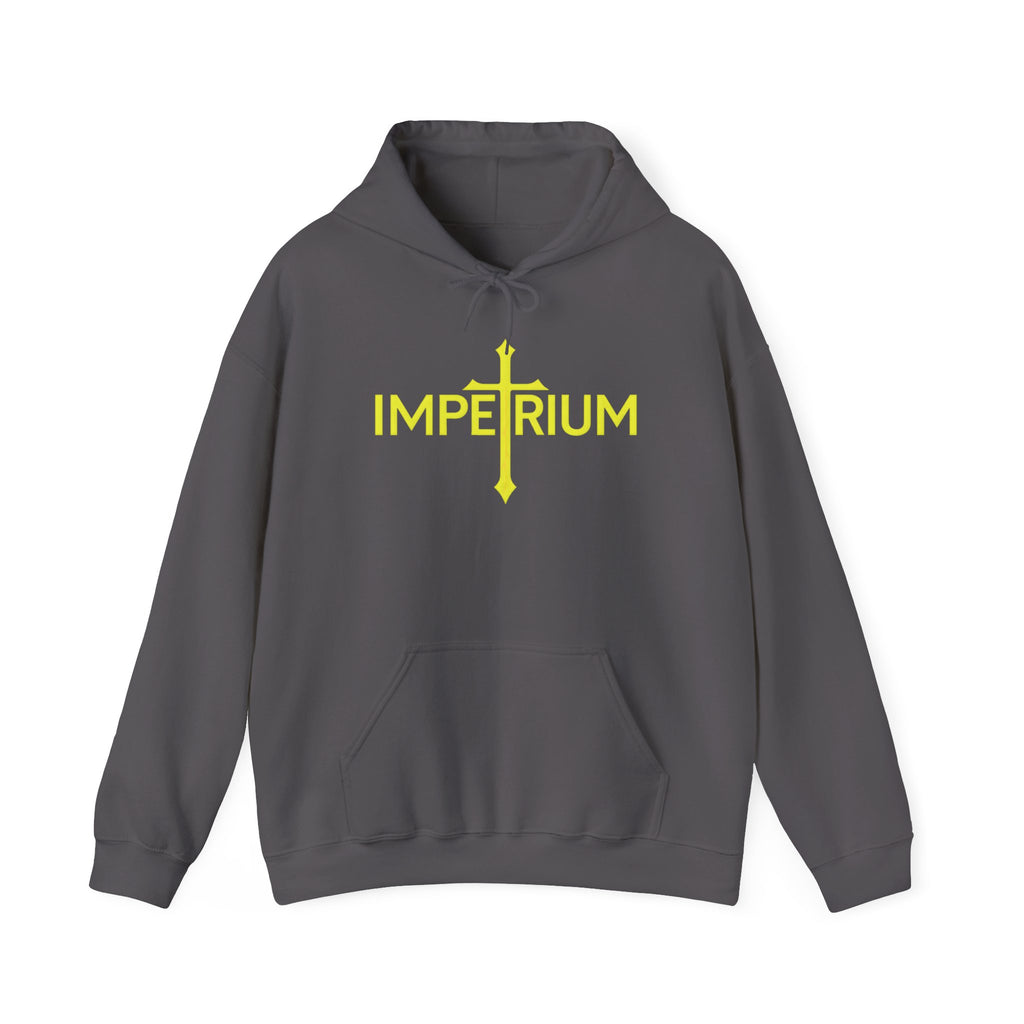 Pravinci Imperium - Charcoal Hooded Sweatshirt