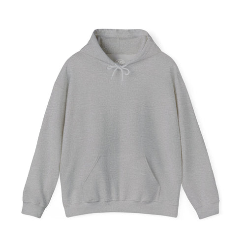 Pravinci Core Hoodie - Grey