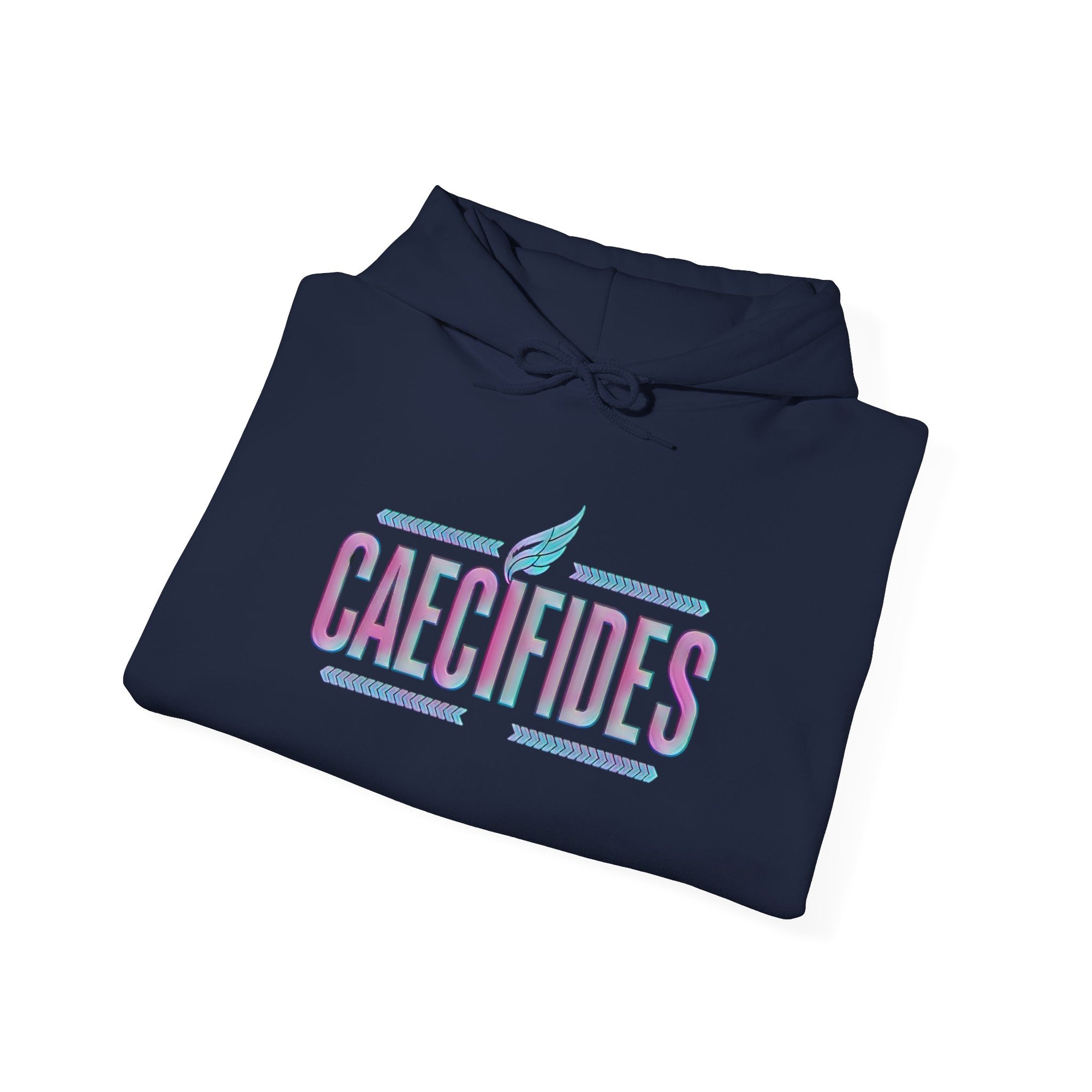 Pravinci Caecifides Iridescente – Navy Blue Hooded Sweatshirt