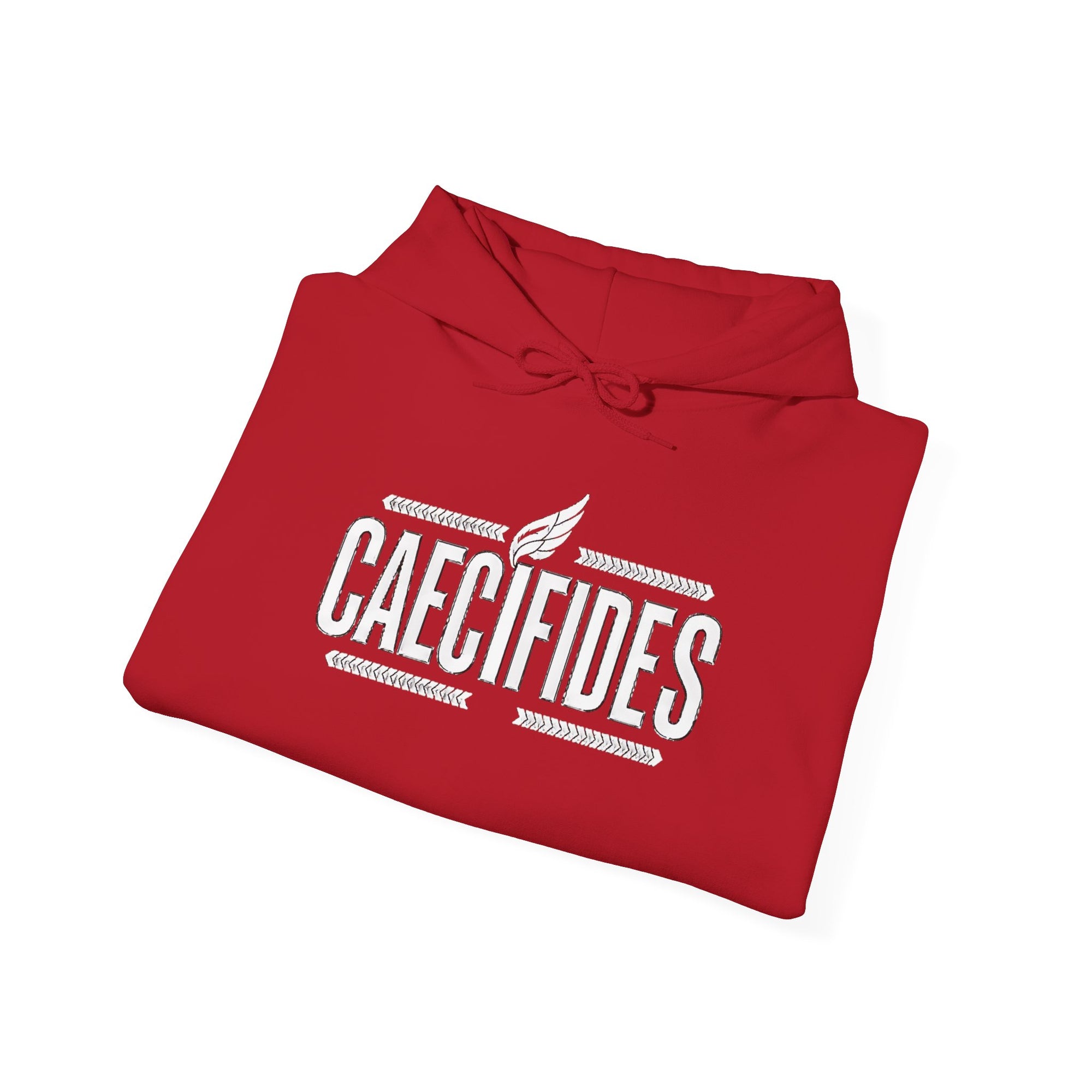 Pravinci Caecifides Monocromia – Cherry Red Hooded Sweatshirt