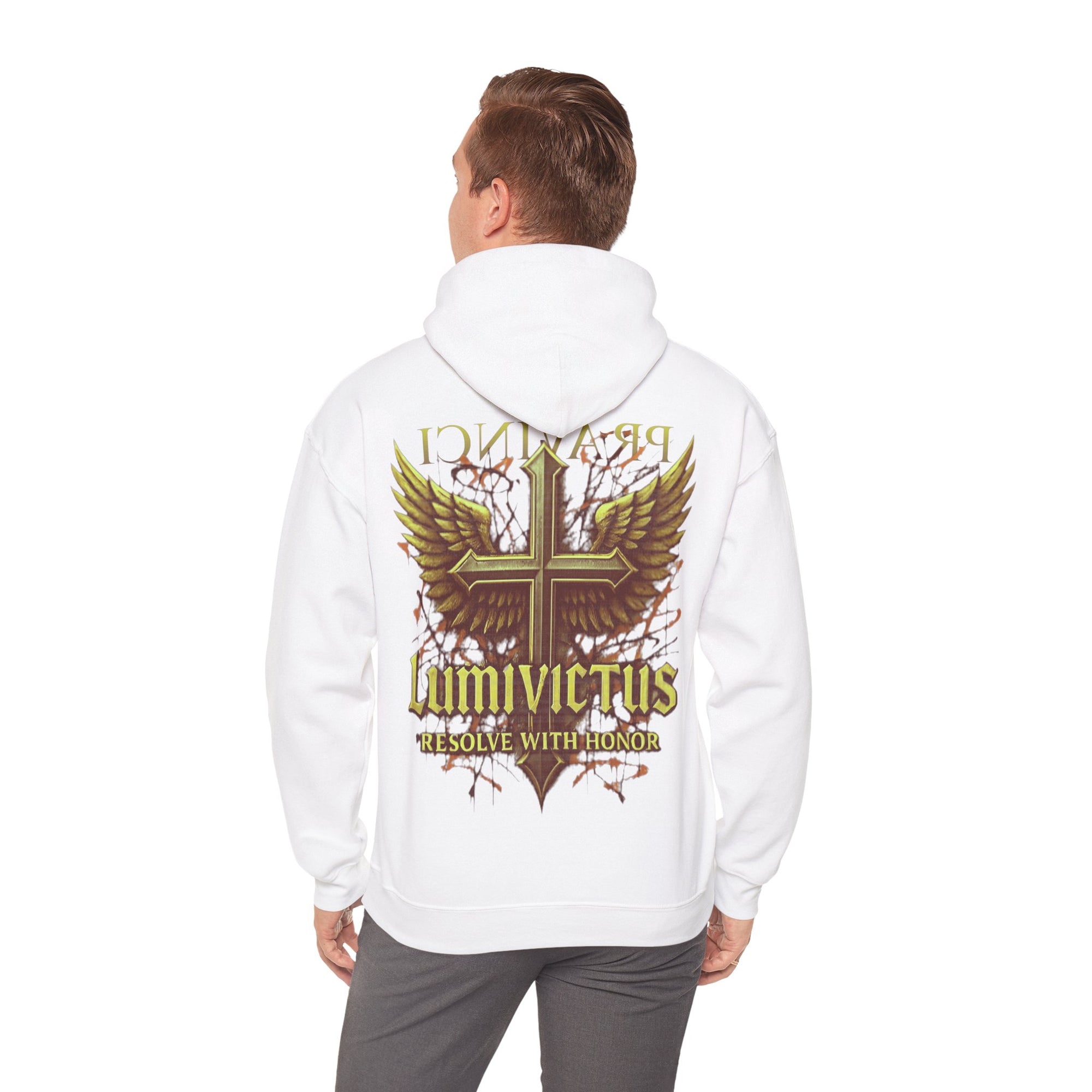 Pravinci Lumivictus Iridescente Brown - Hooded Sweatshirt