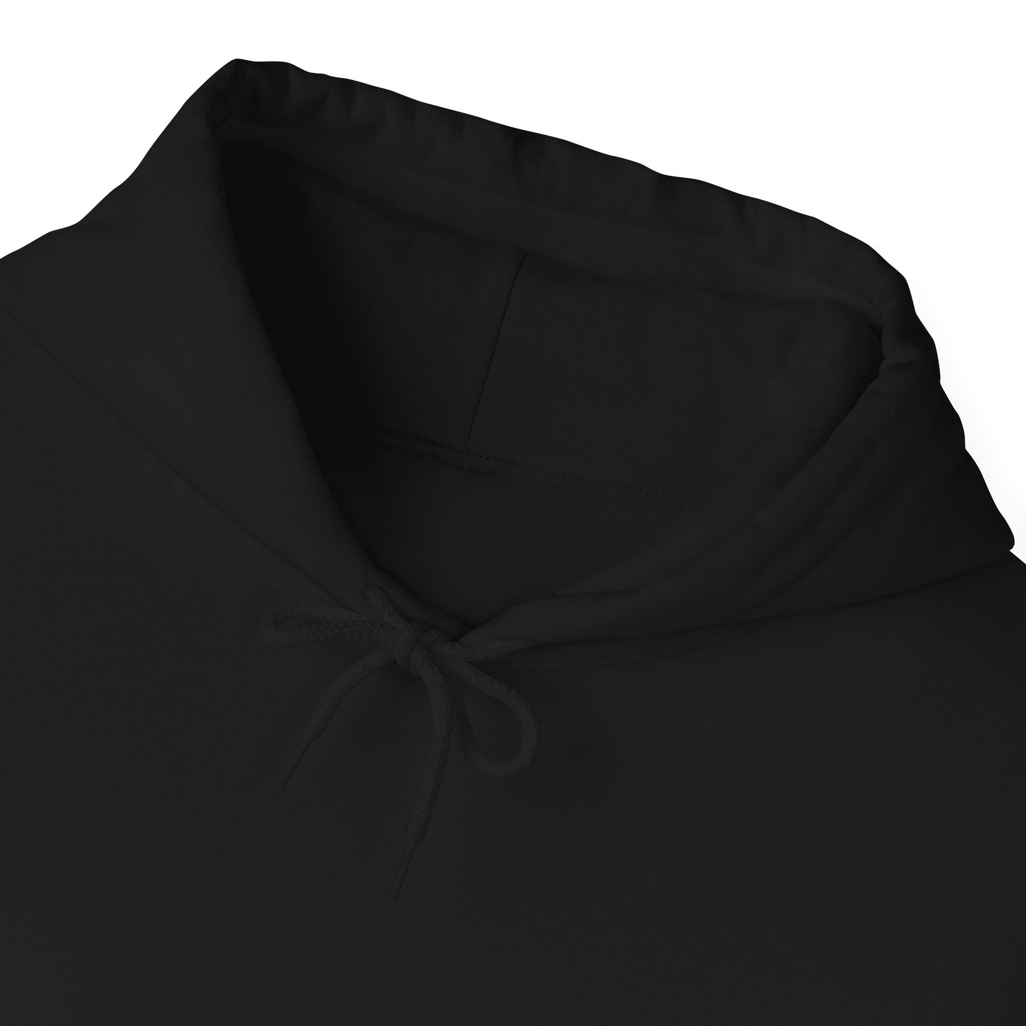 Pravinci Lumivictus Iridescente Blue Green - Hooded Sweatshirt