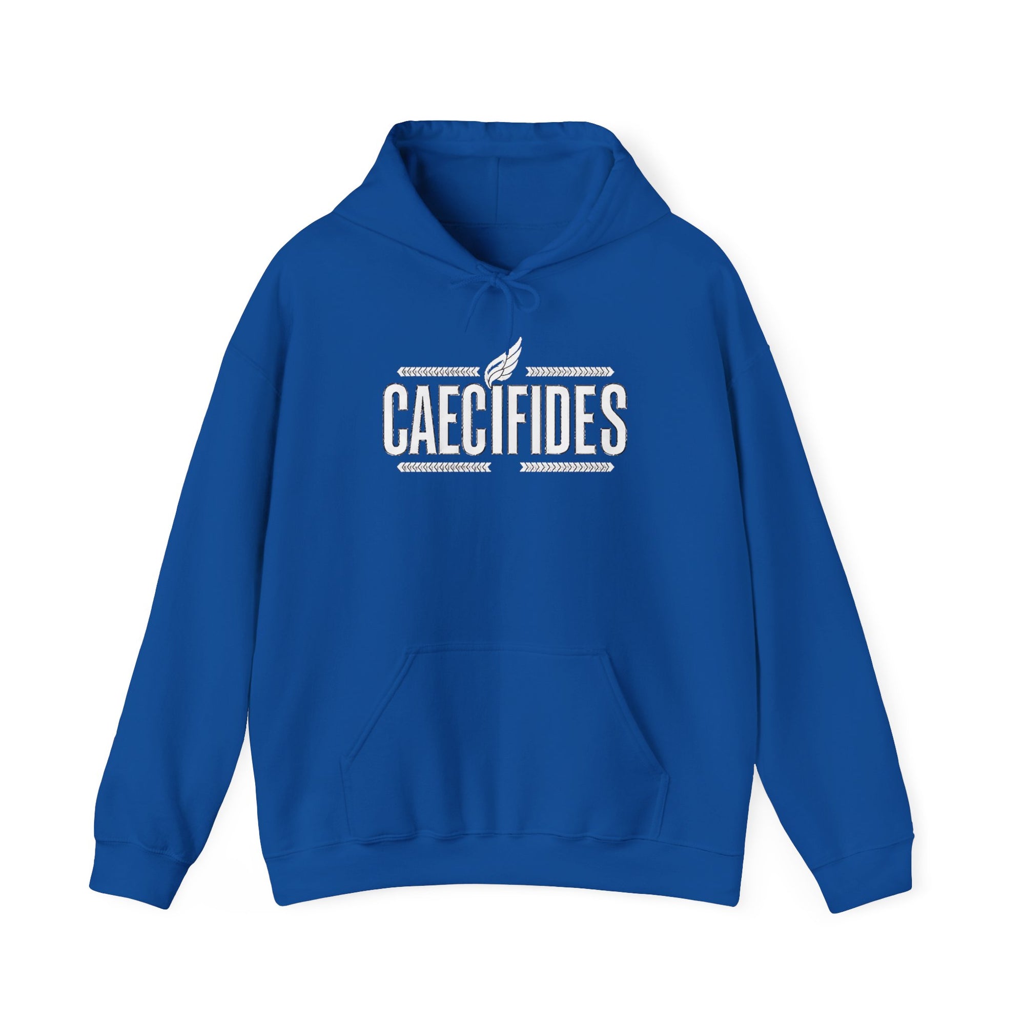 Pravinci Caecifides Monocromia – Dark Blue Hooded Sweatshirt