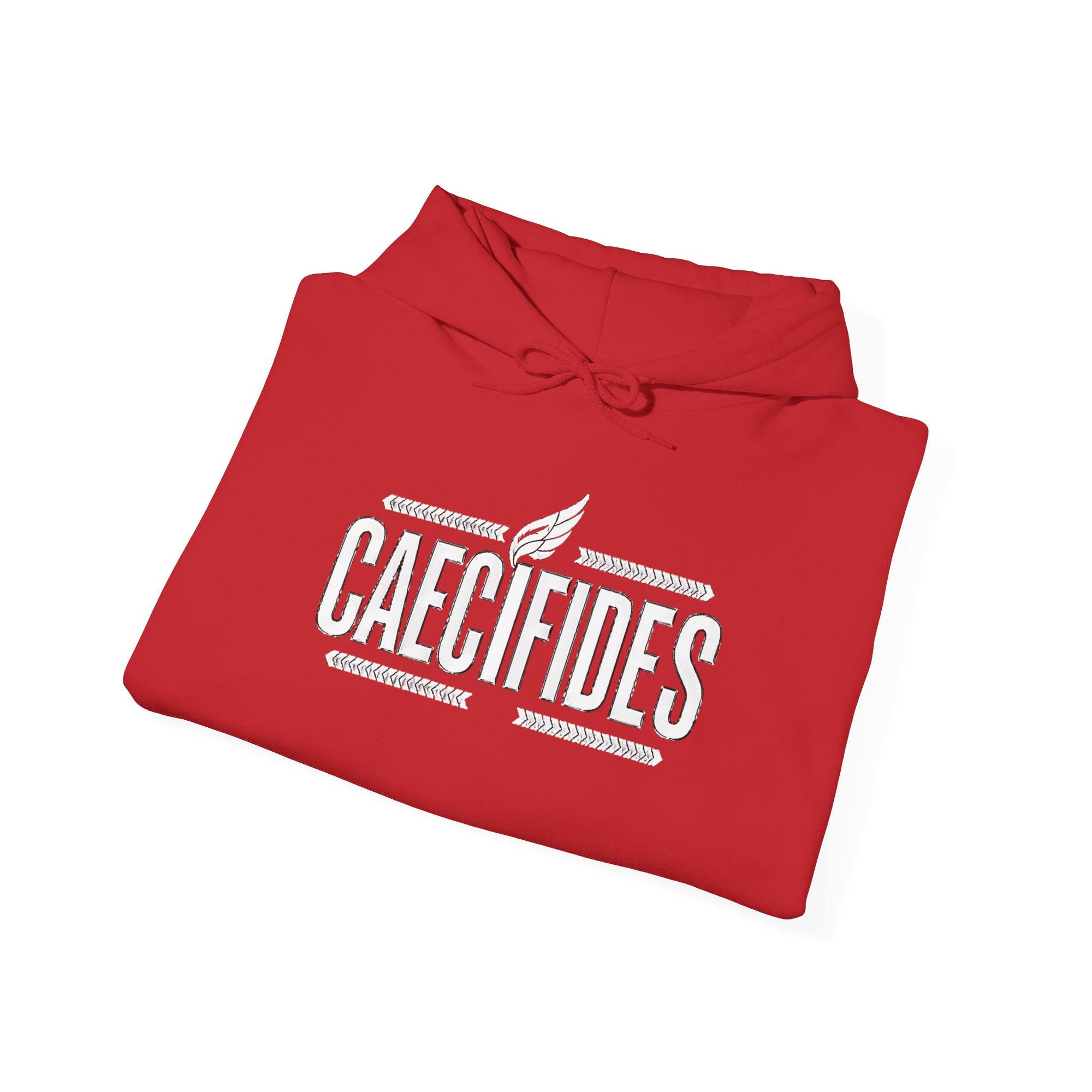 Pravinci Caecifides Monocromia – Red Hooded Sweatshirt