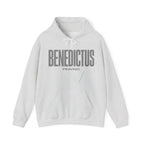 Pravinci Benedictus Labor Monocromia – Ash Hooded Sweatshirt