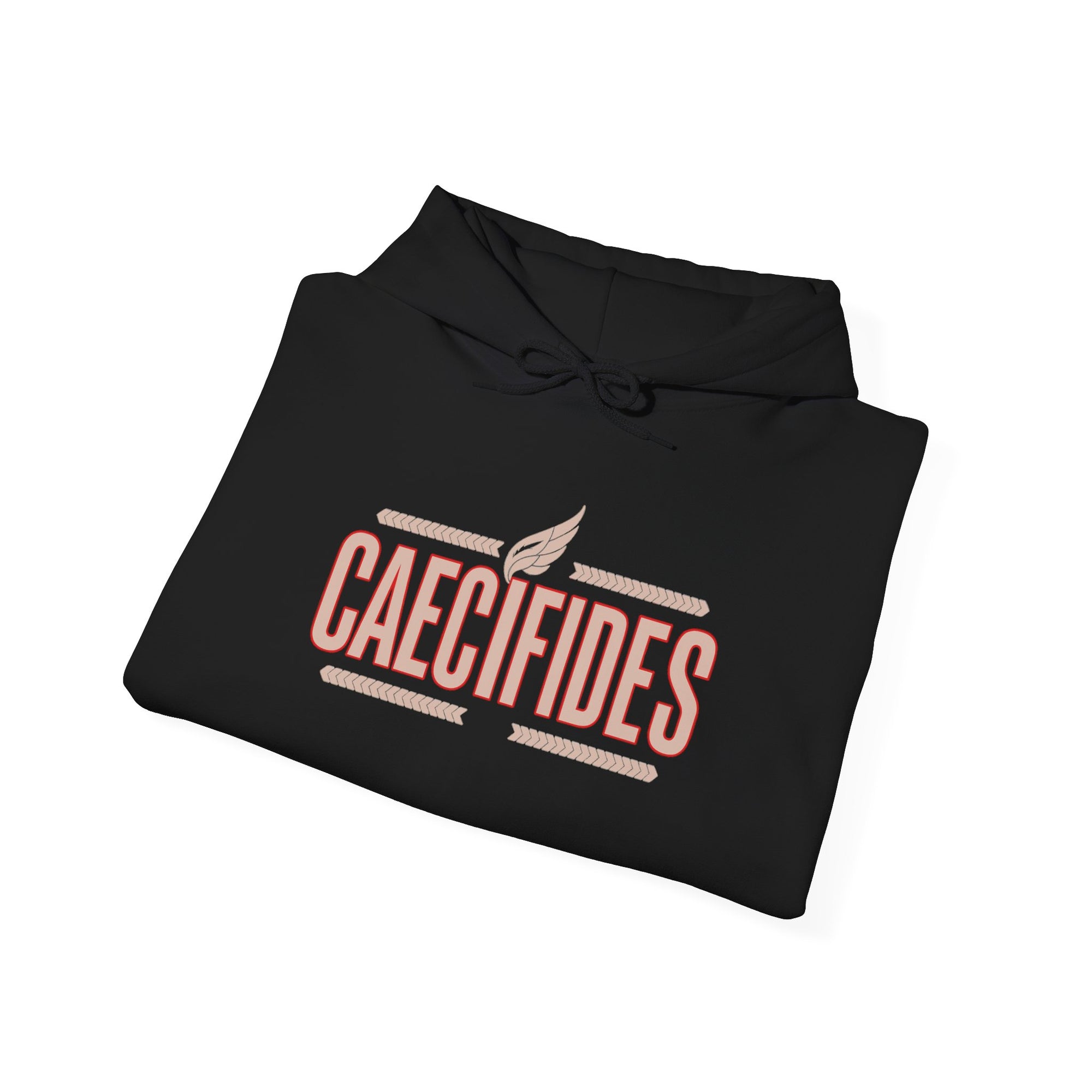 Pravinci Caecifides – Black & Red Hooded Sweatshirt