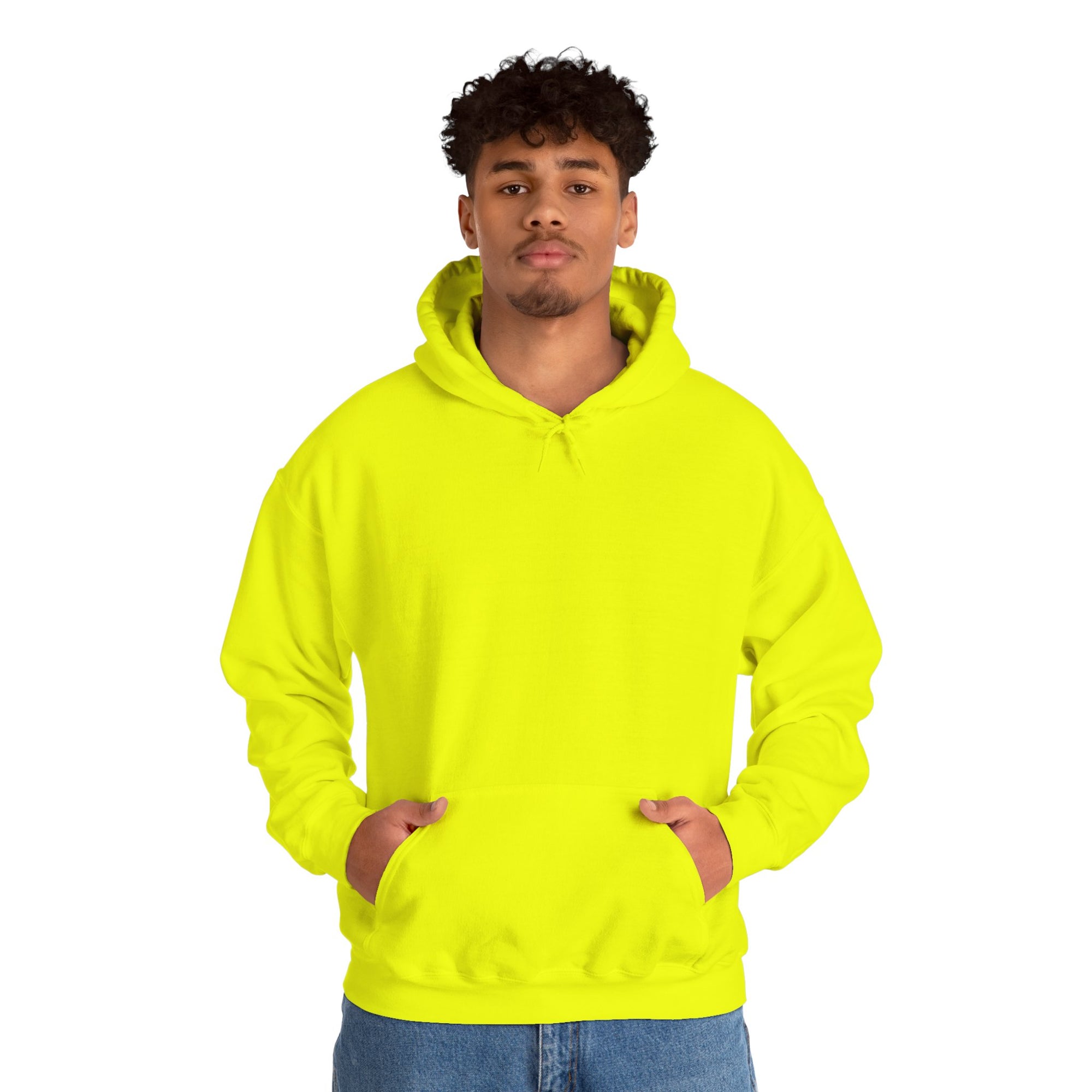 Pravinci Lumivictus Iridescente Olive Green - Hooded Sweatshirt