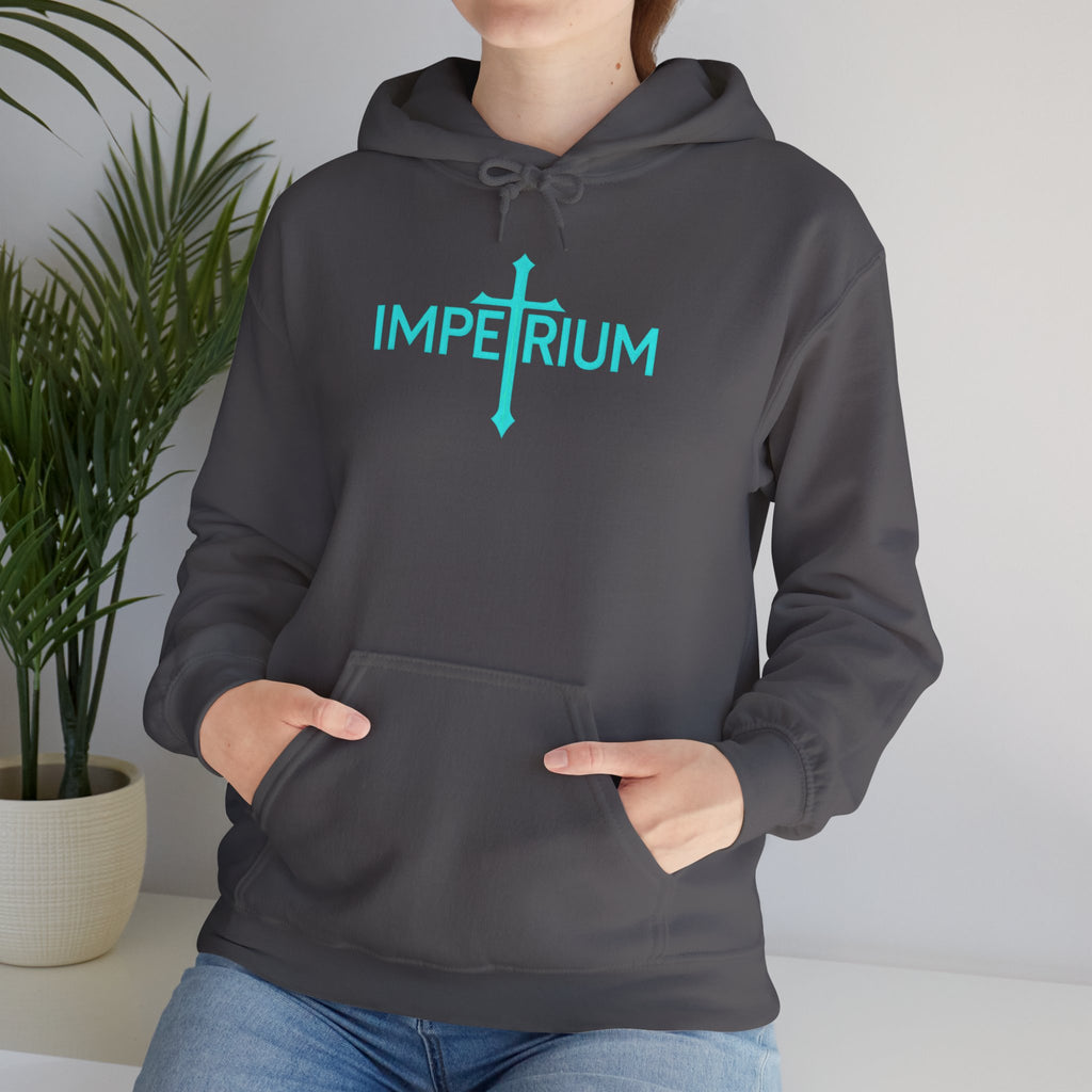 Pravinci Imperium - Charcoal Hooded Sweatshirt