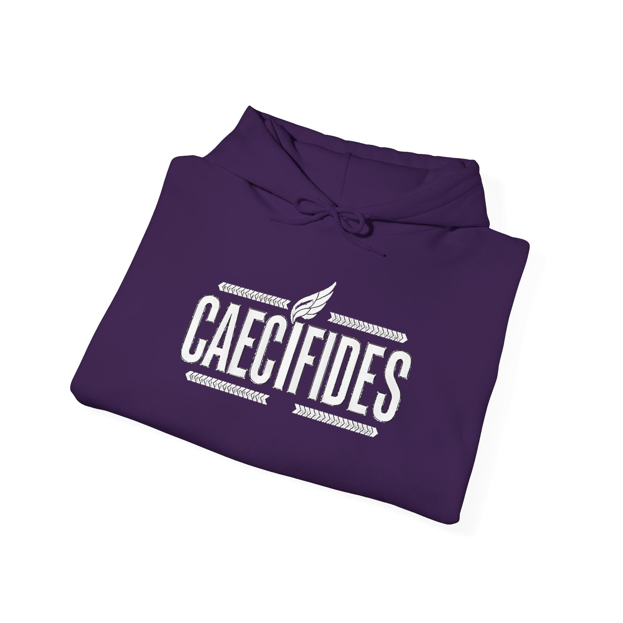 Pravinci Caecifides Monocromia – Purple Hooded Sweatshirt