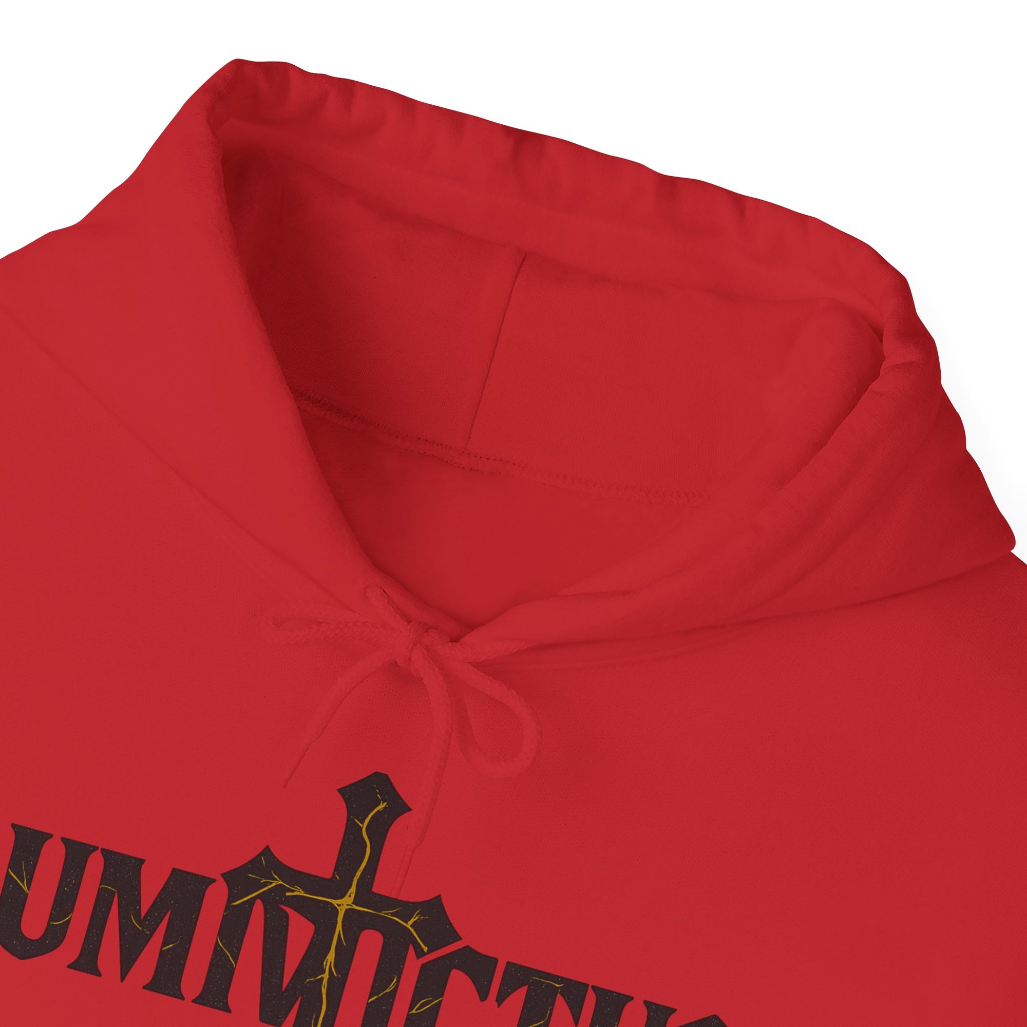 Pravinci Lumivictus - Hooded Sweatshirt