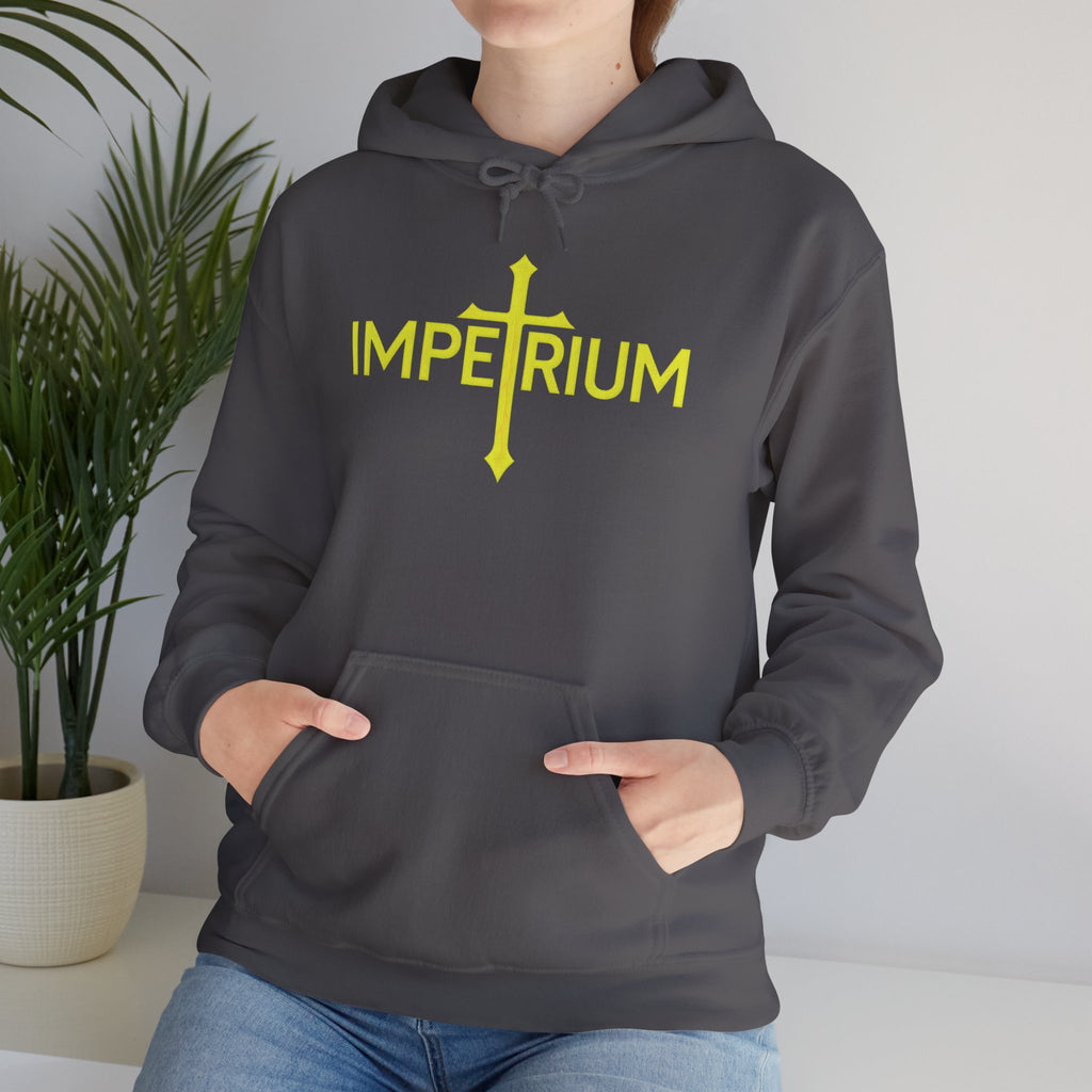 Pravinci Imperium - Charcoal Hooded Sweatshirt