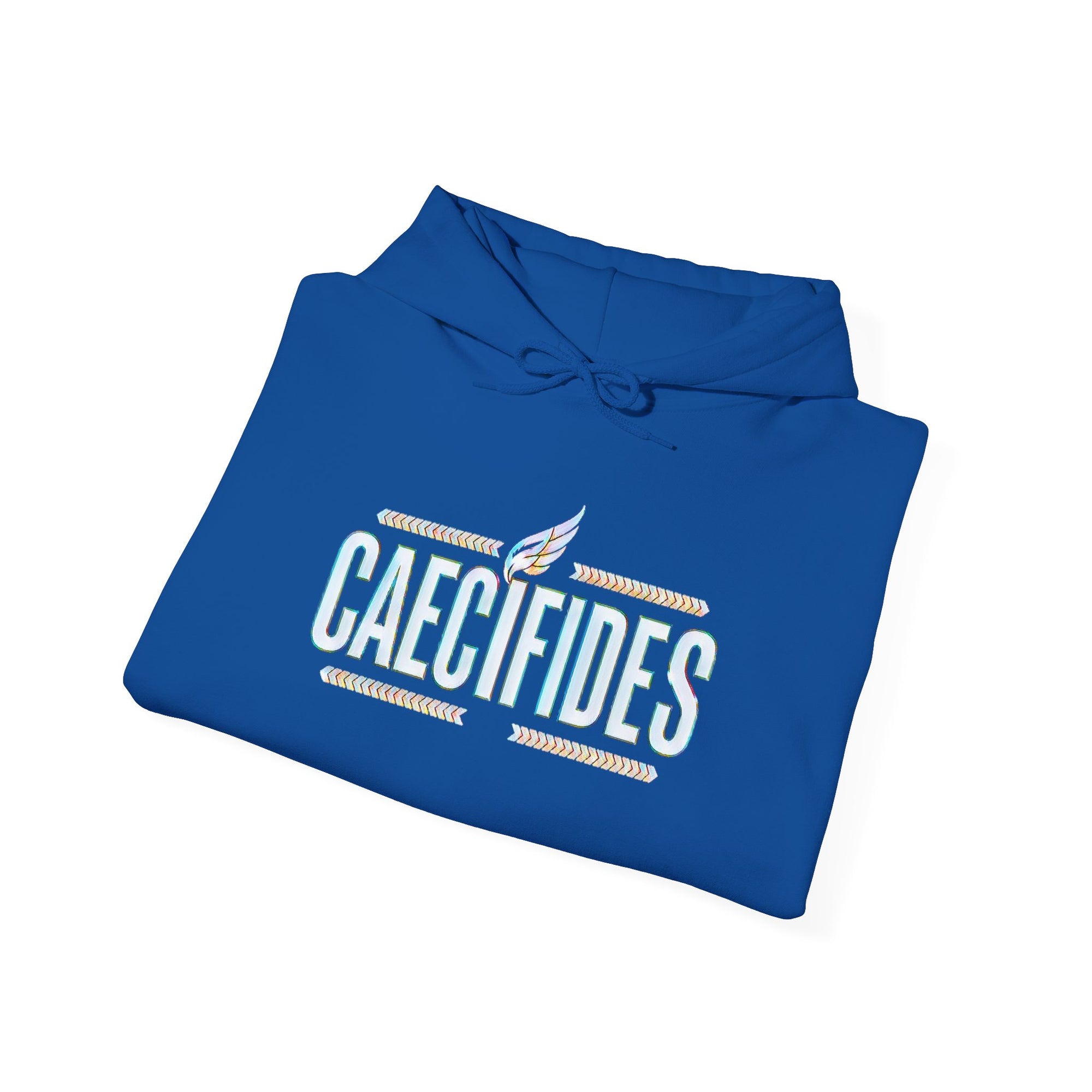 Pravinci Caecifides Iridescente – Dark Blue Hooded Sweatshirt