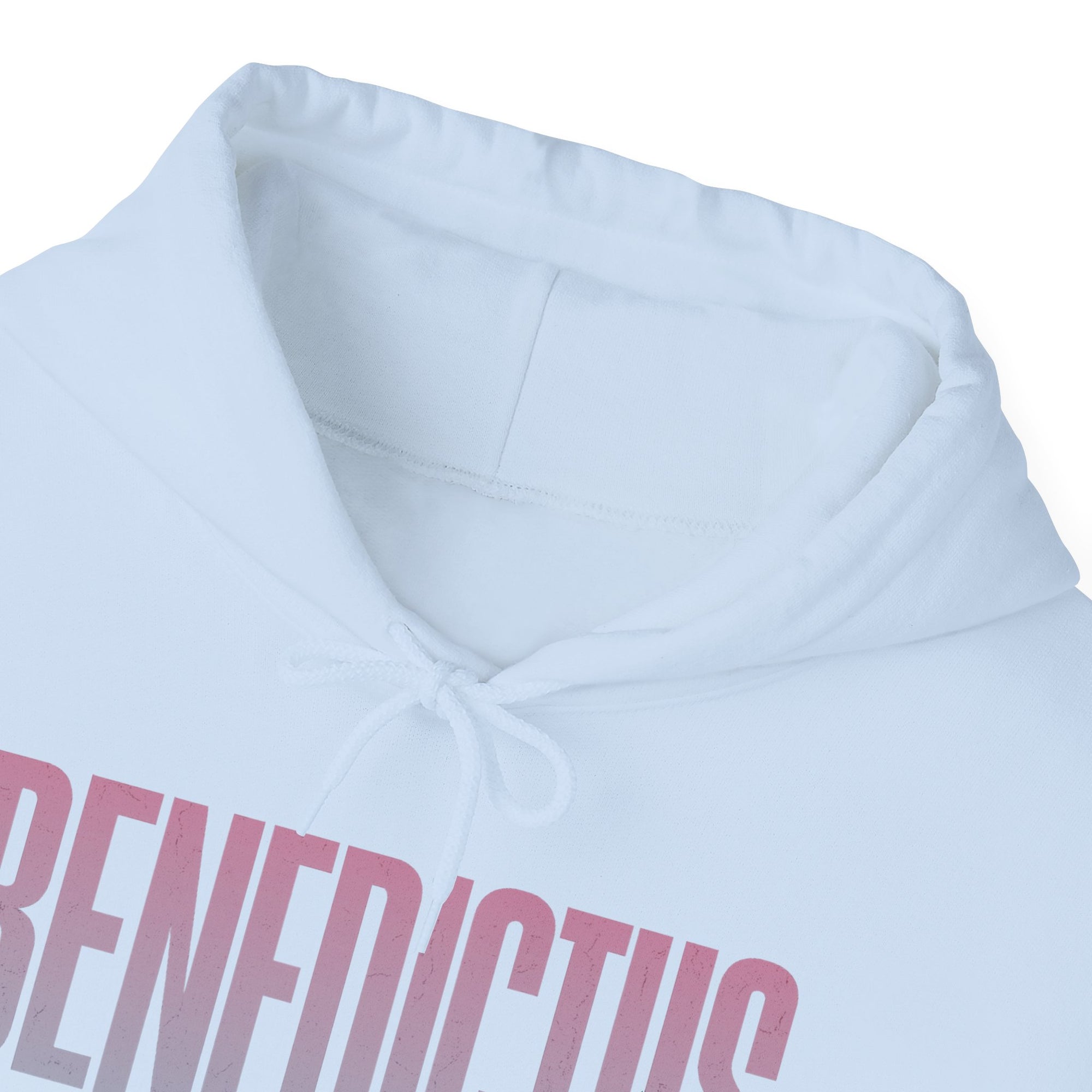 Pravinci Benedictus Labor Iridescente – Light Blue Hooded Sweatshirt