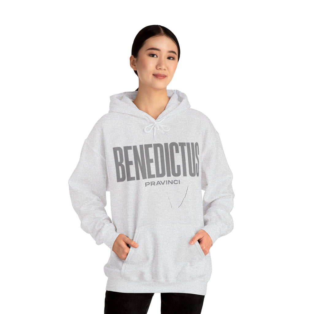 Pravinci Benedictus Labor Monocromia – Ash Hooded Sweatshirt