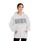 Pravinci Benedictus Labor Monocromia – Ash Hooded Sweatshirt
