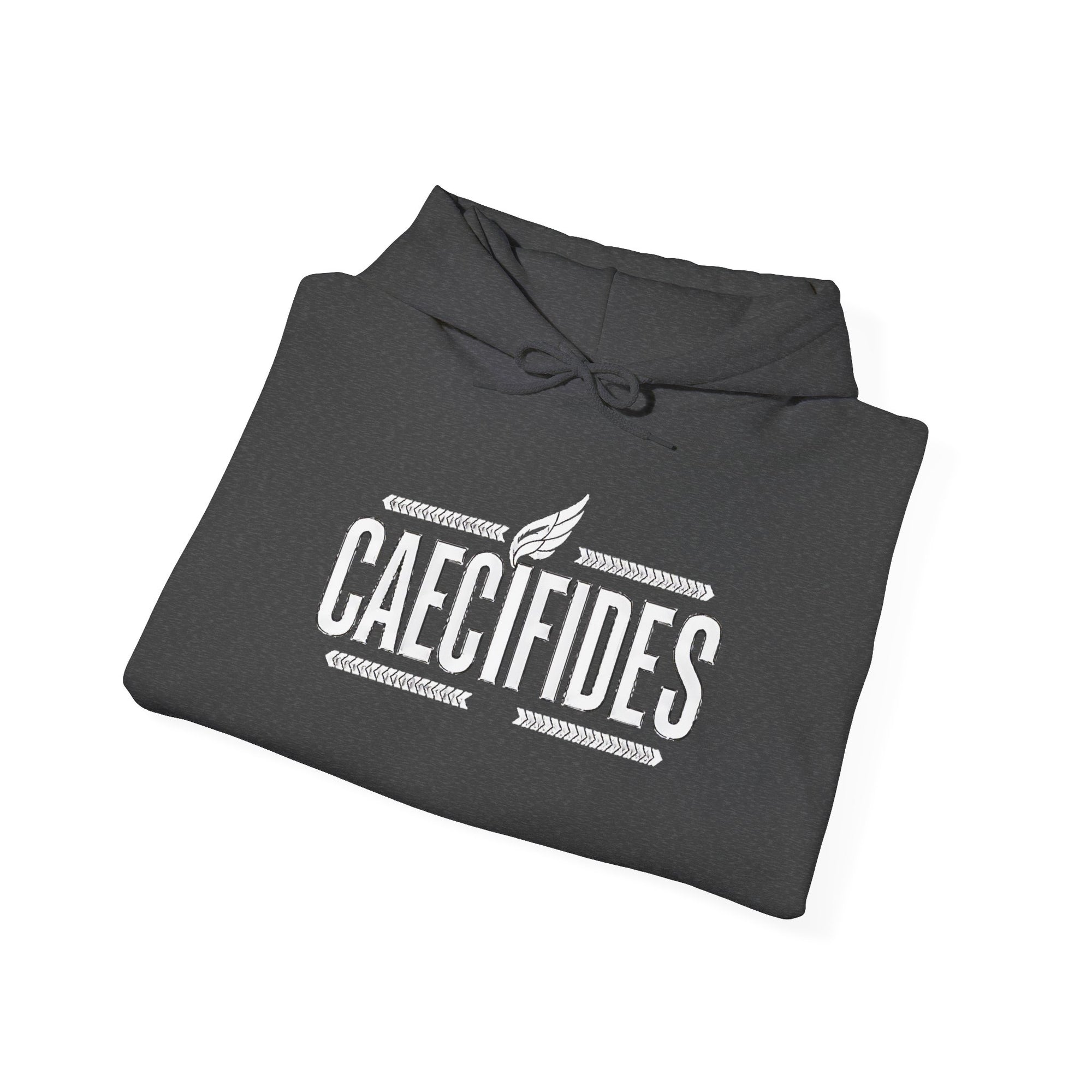 Pravinci Caecifides Monocromia – Dark Grey Hooded Sweatshirt